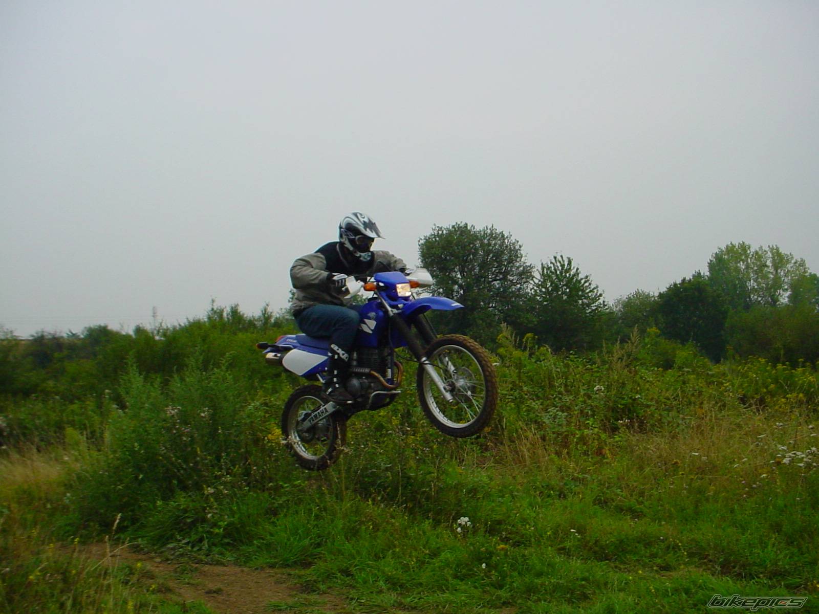 Photo 236823