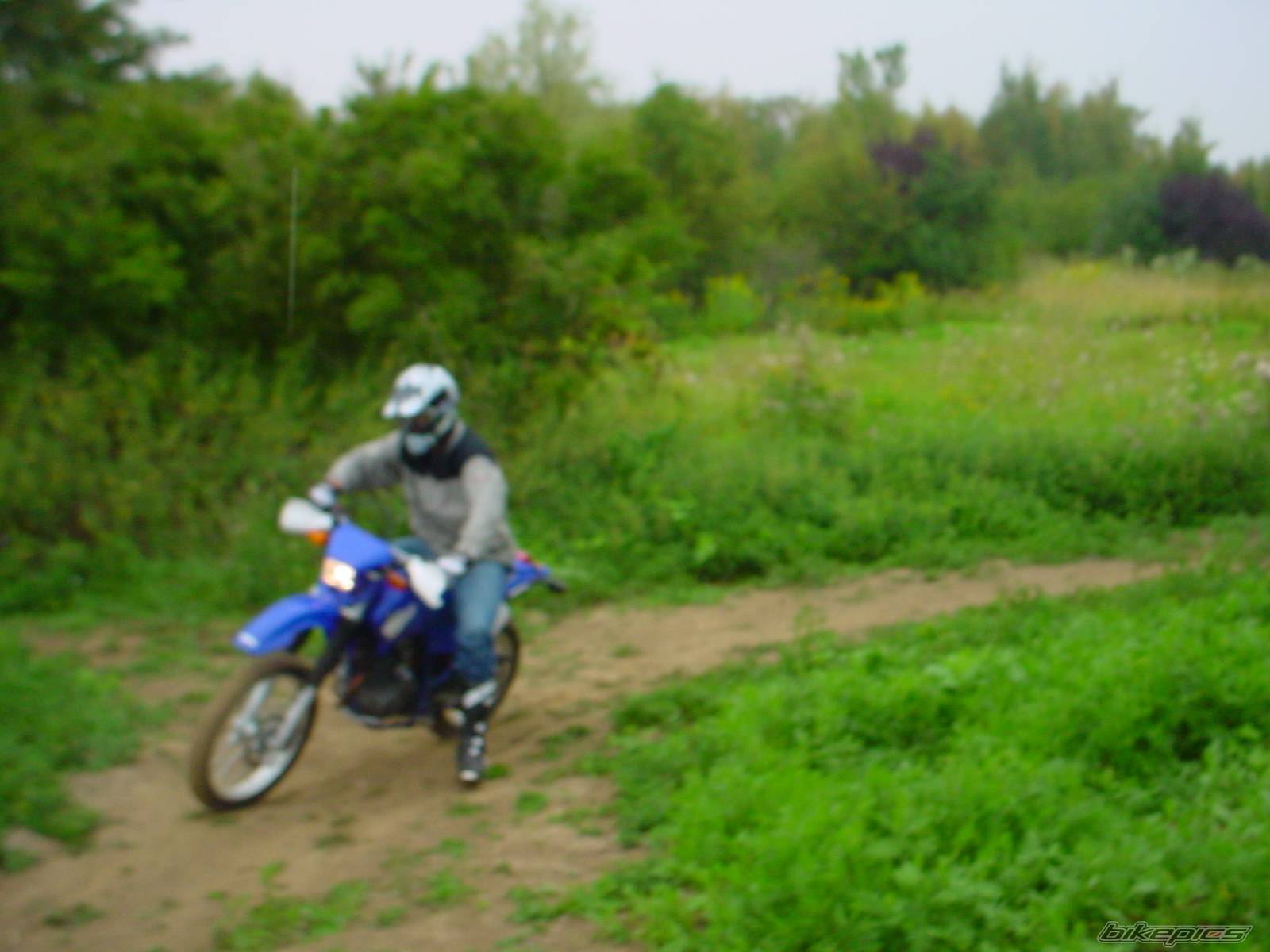 Photo 236824