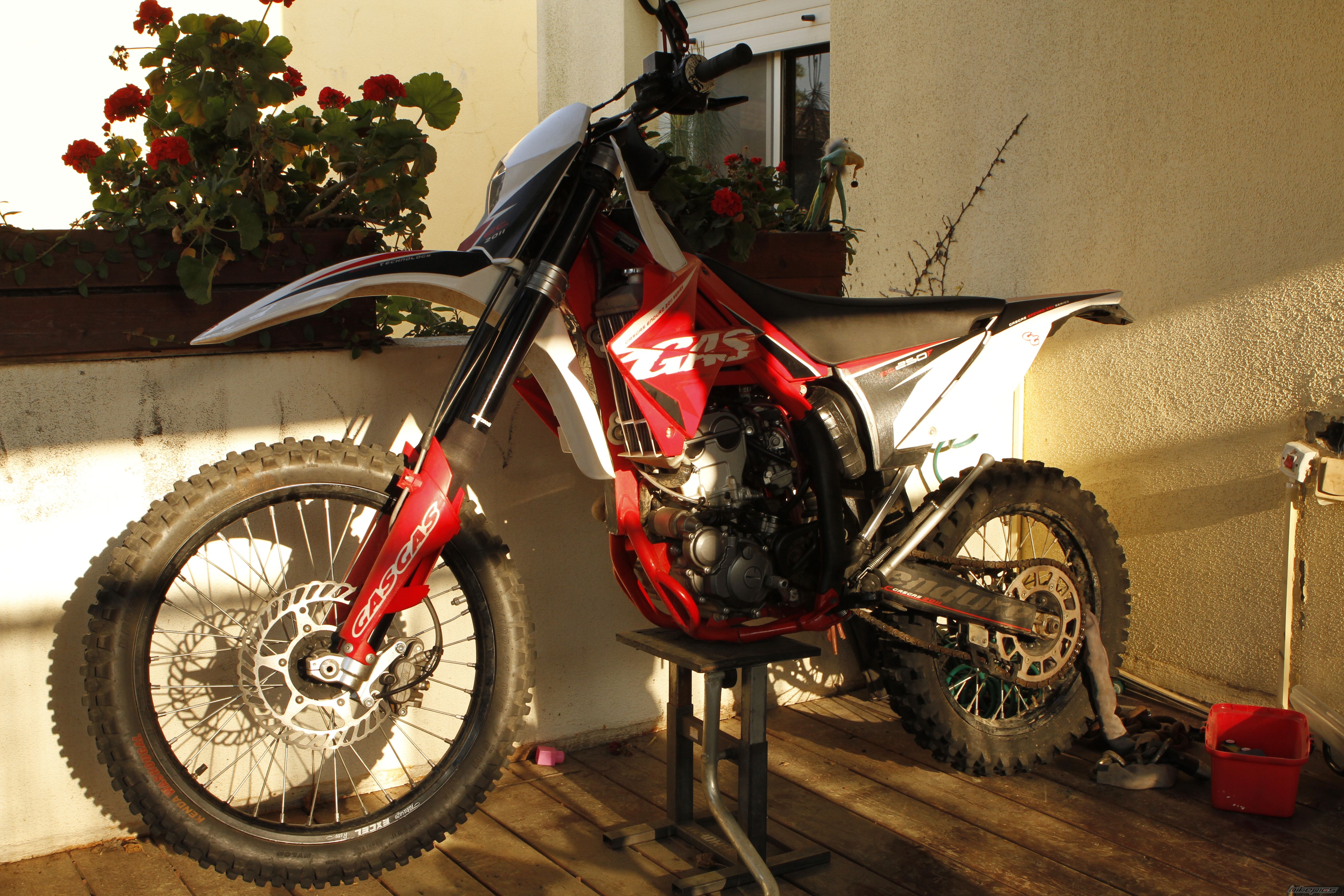 Photo 2368255