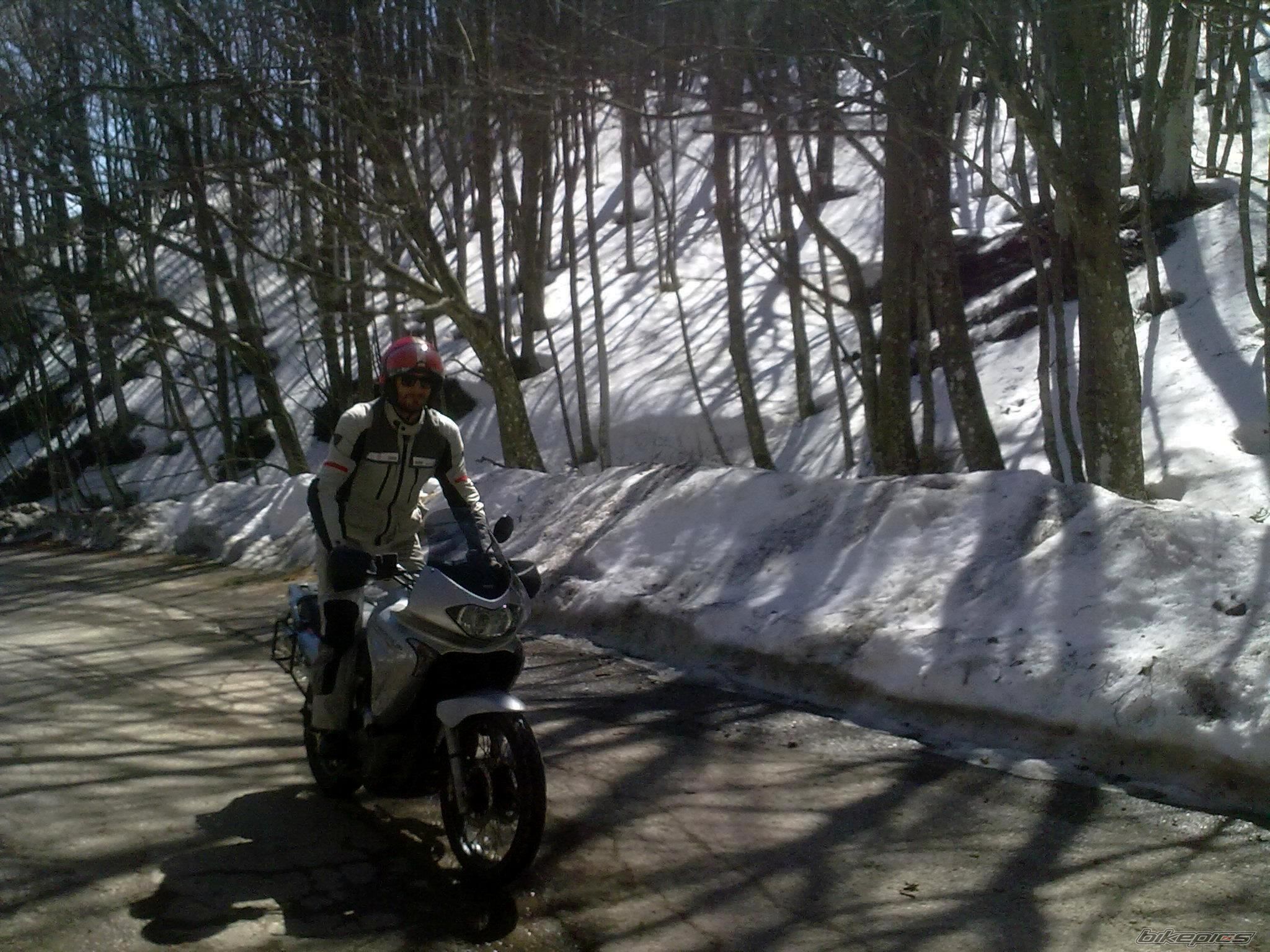 Bike Photo 2368273
