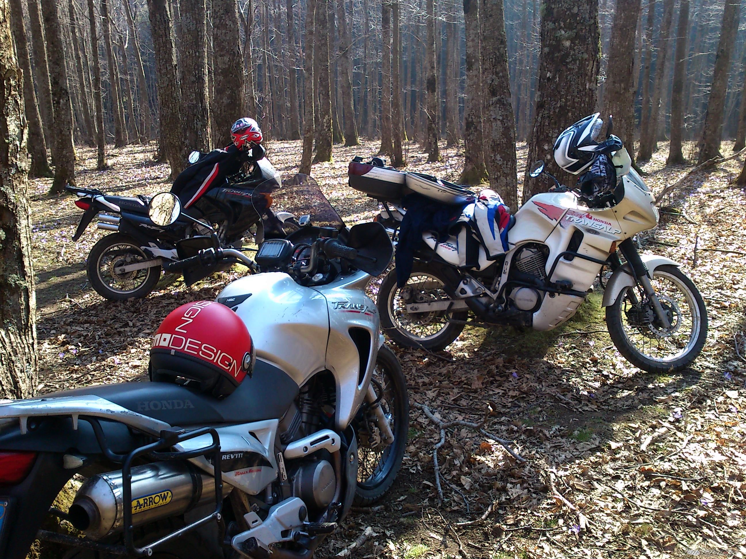 Photo 2368278