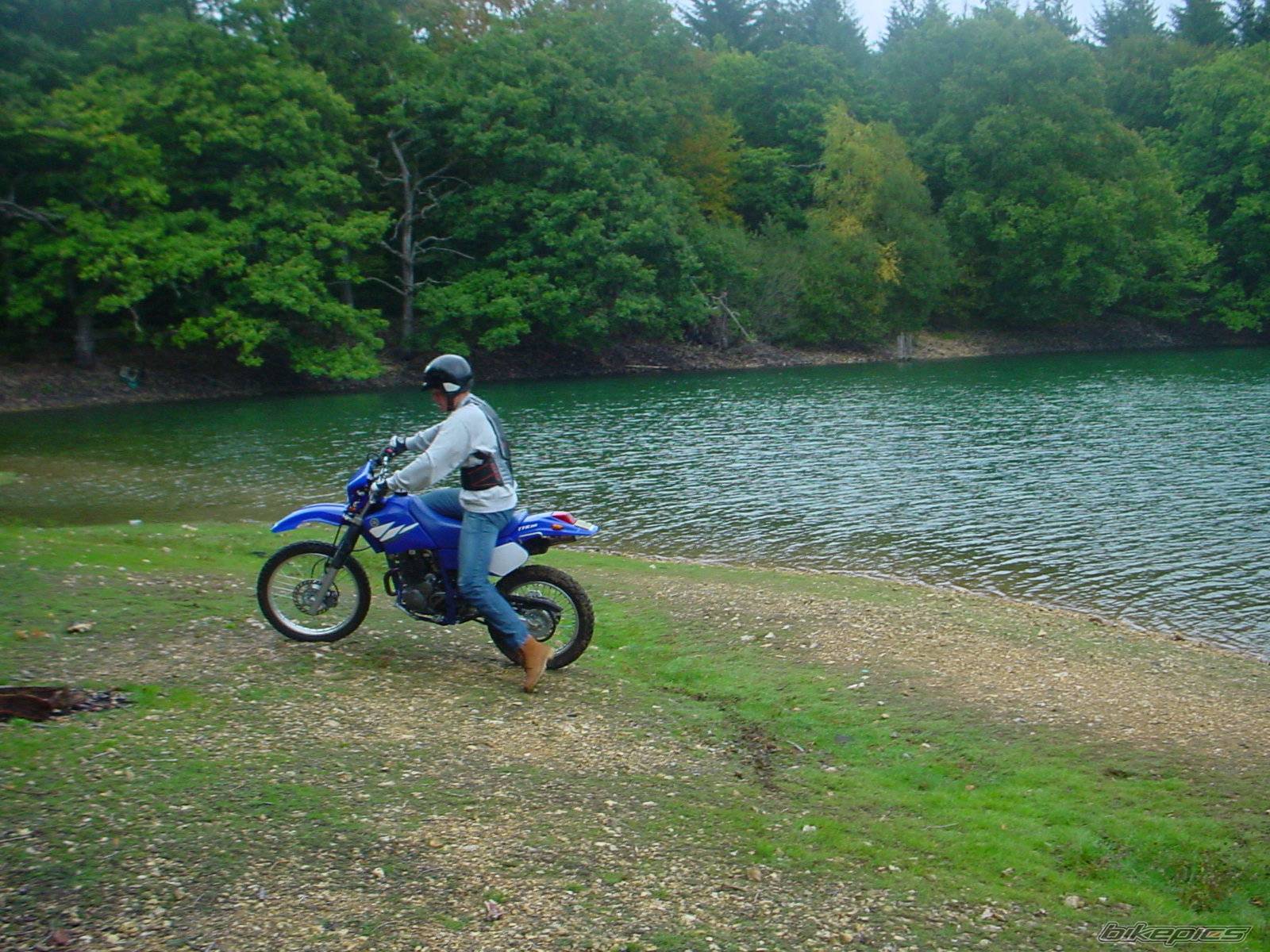 Photo 236828