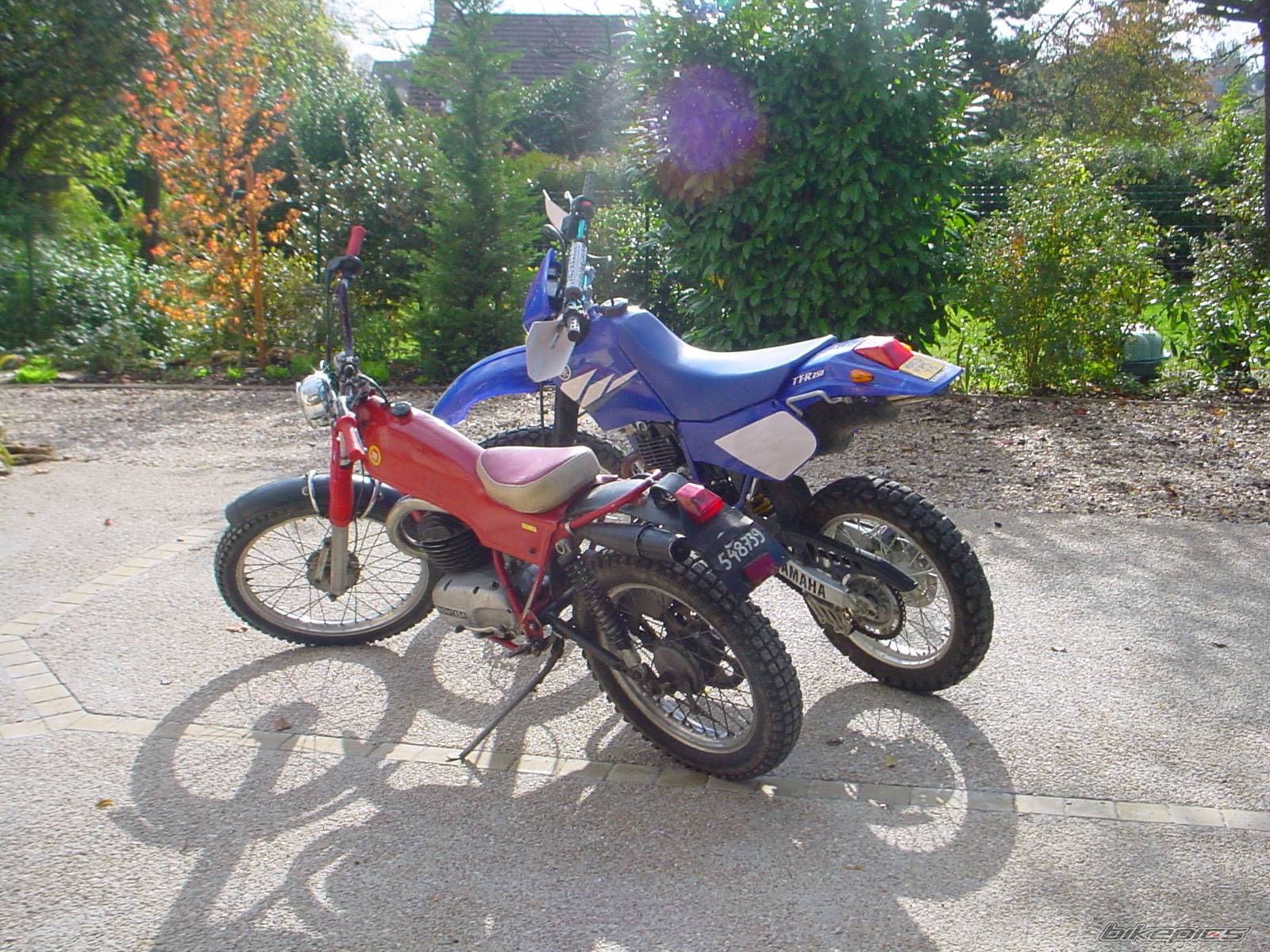 Photo 236831