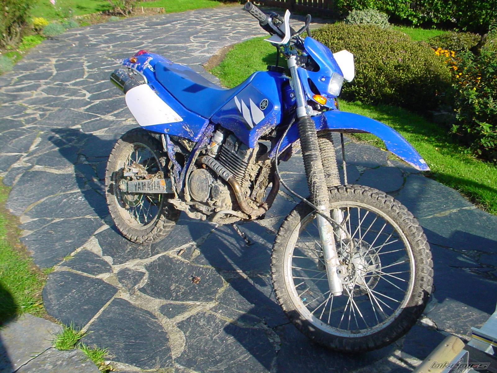 Photo 236833