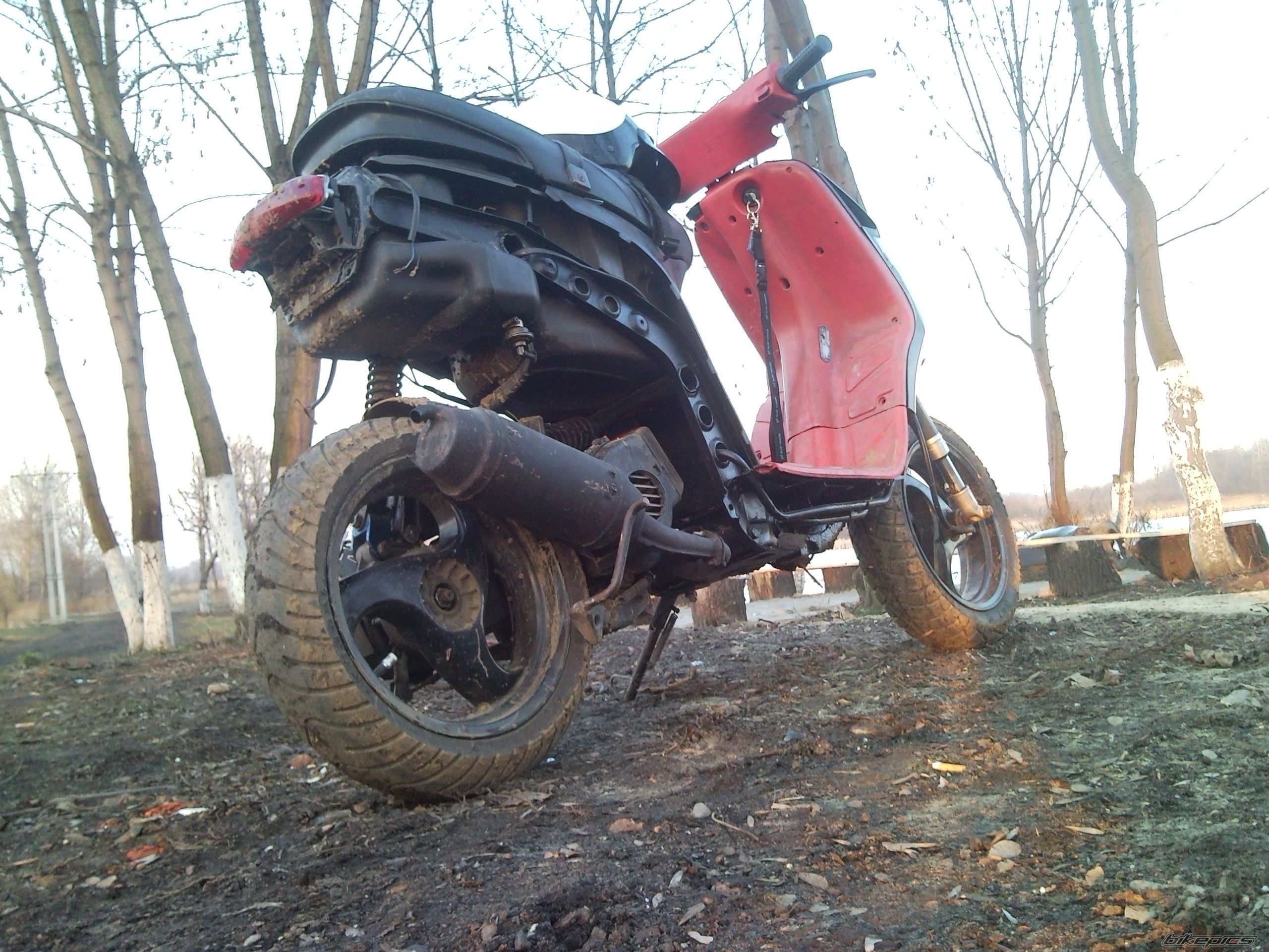 Photo 2368374