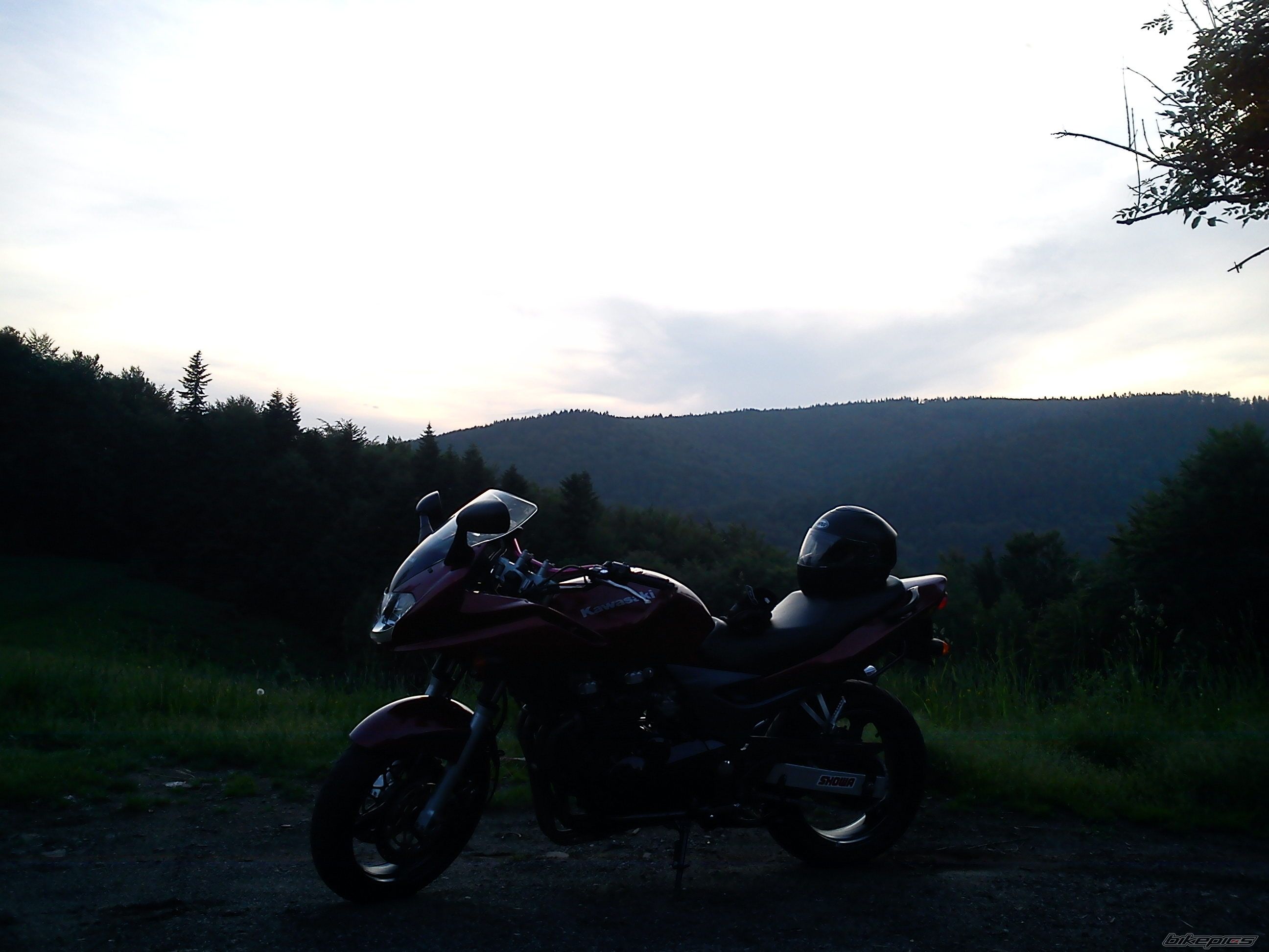 Photo 2368402