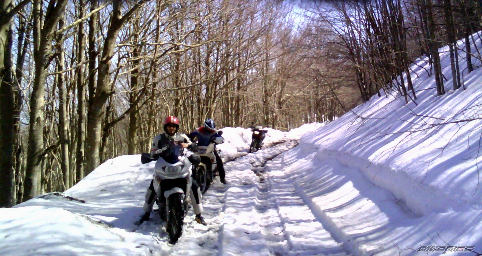 Photo 2368464
