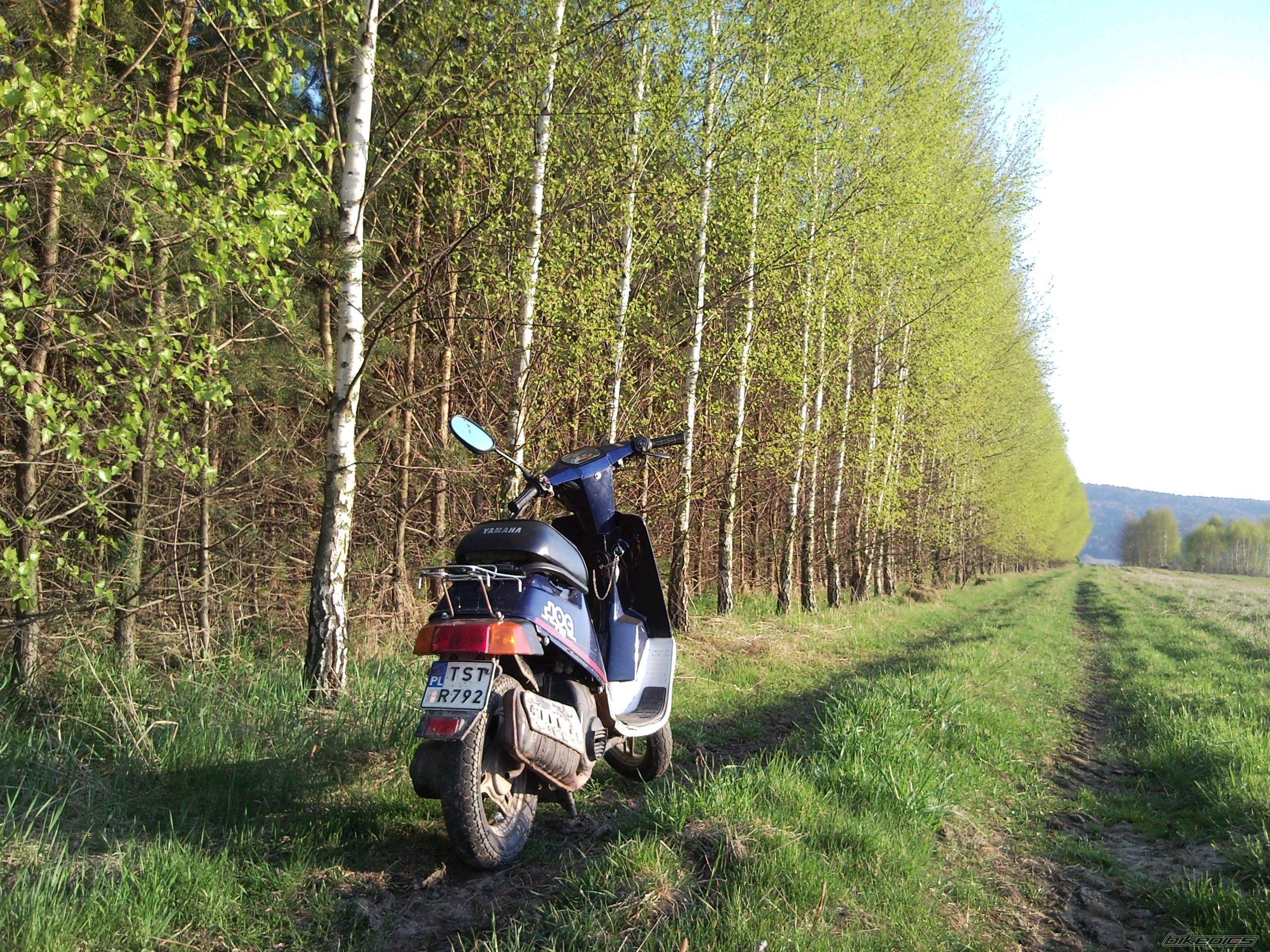 Photo 2368656