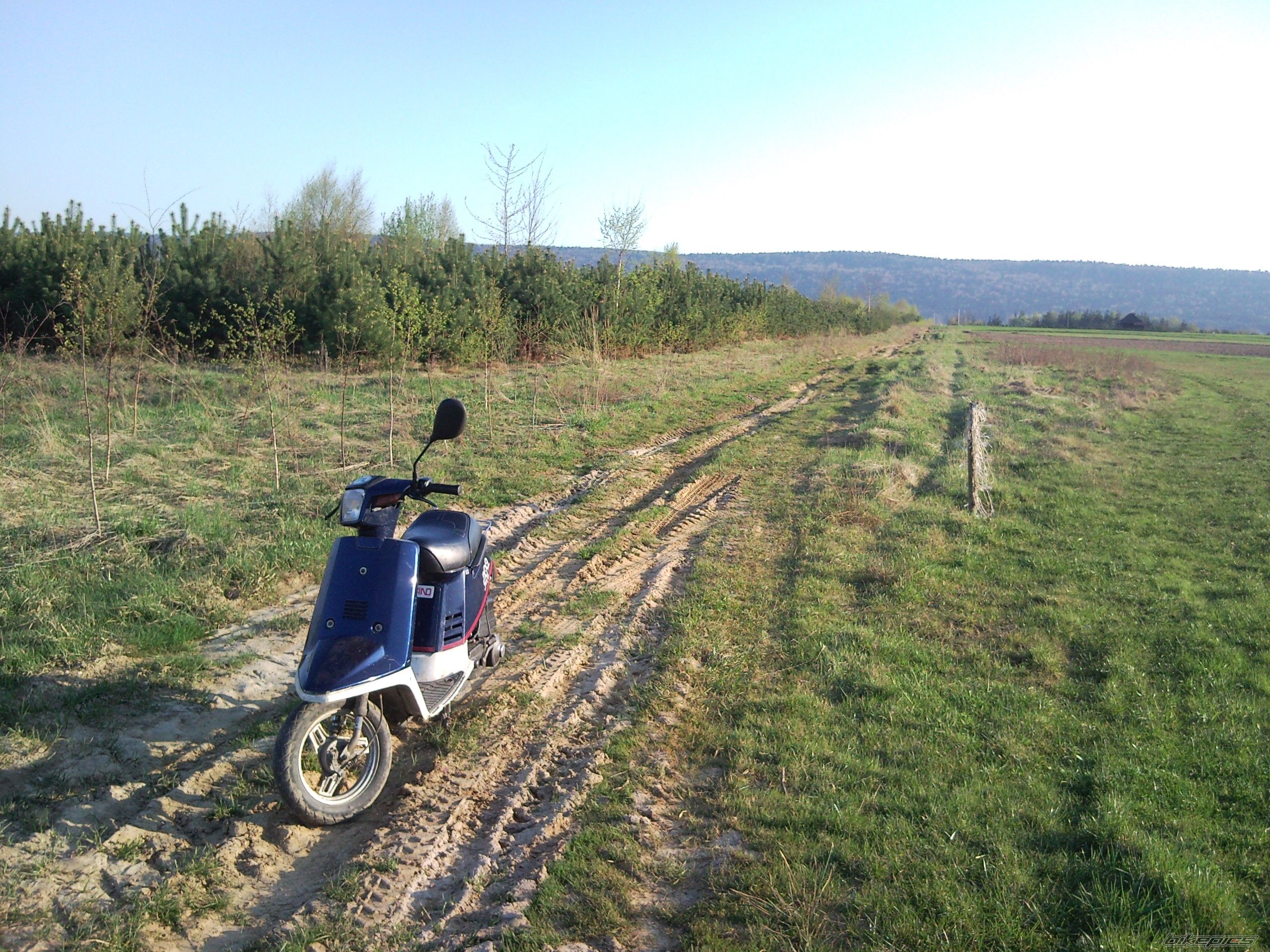 Photo 2368661