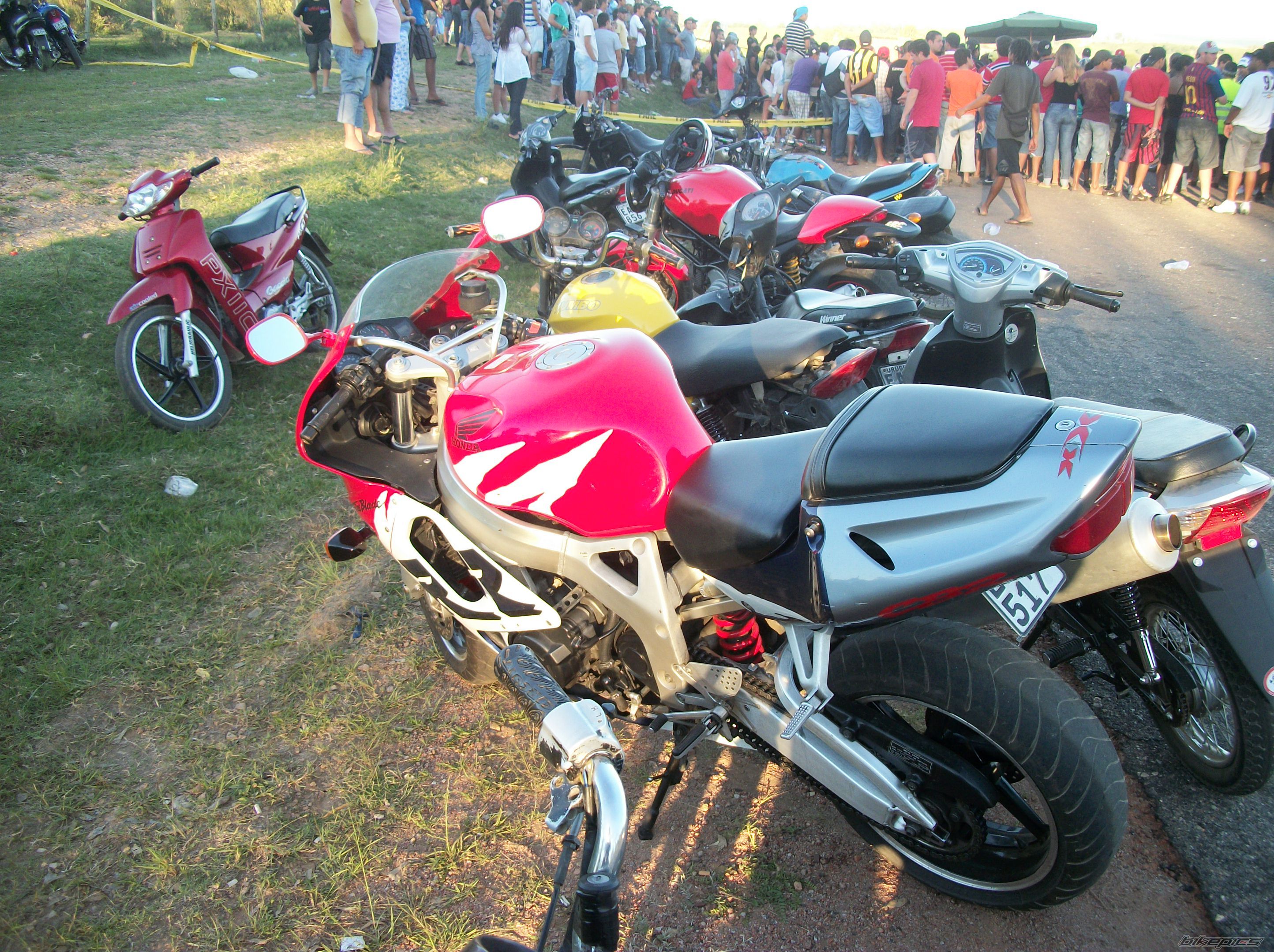 Photo 2368818