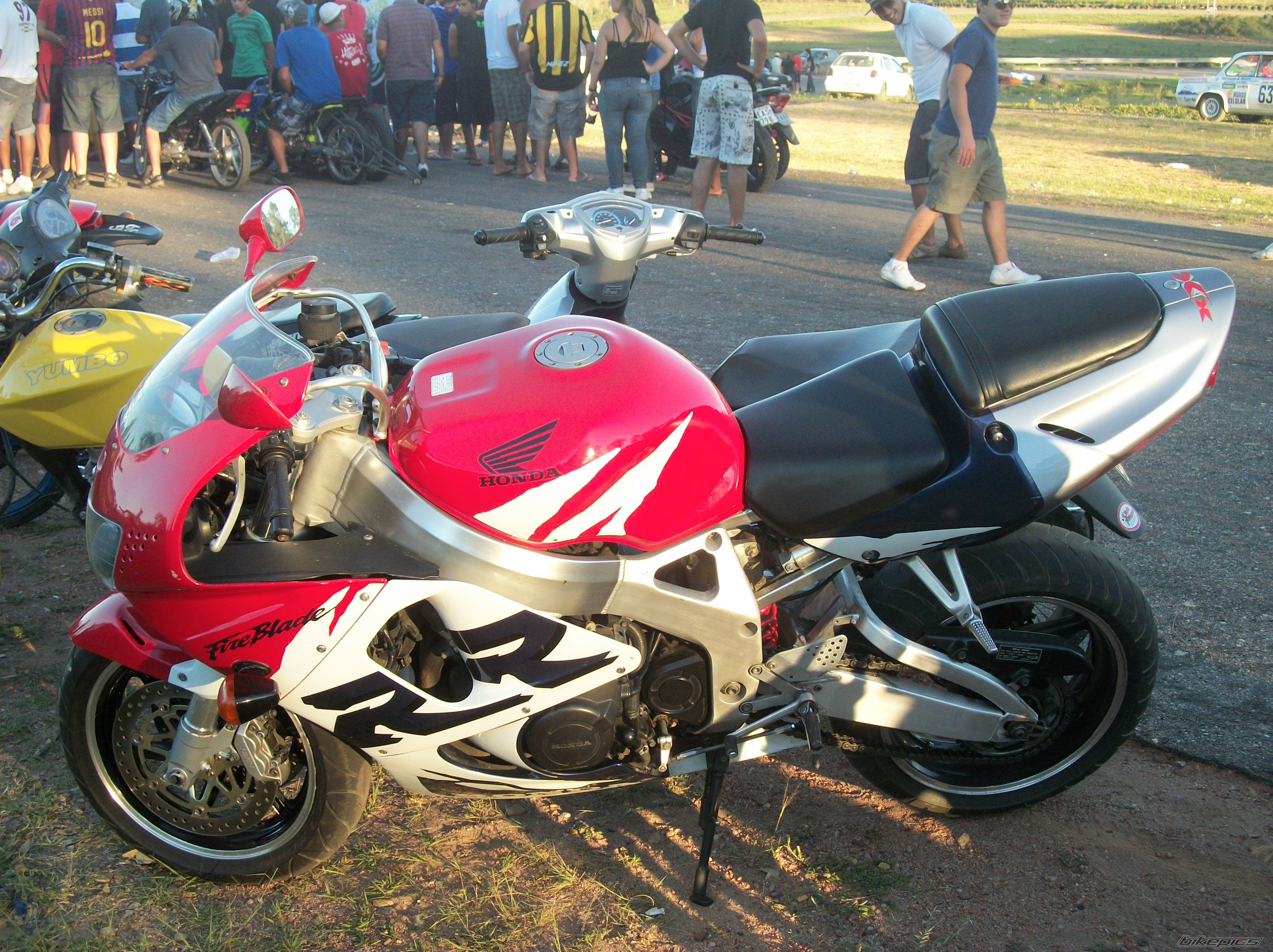 Photo 2368819