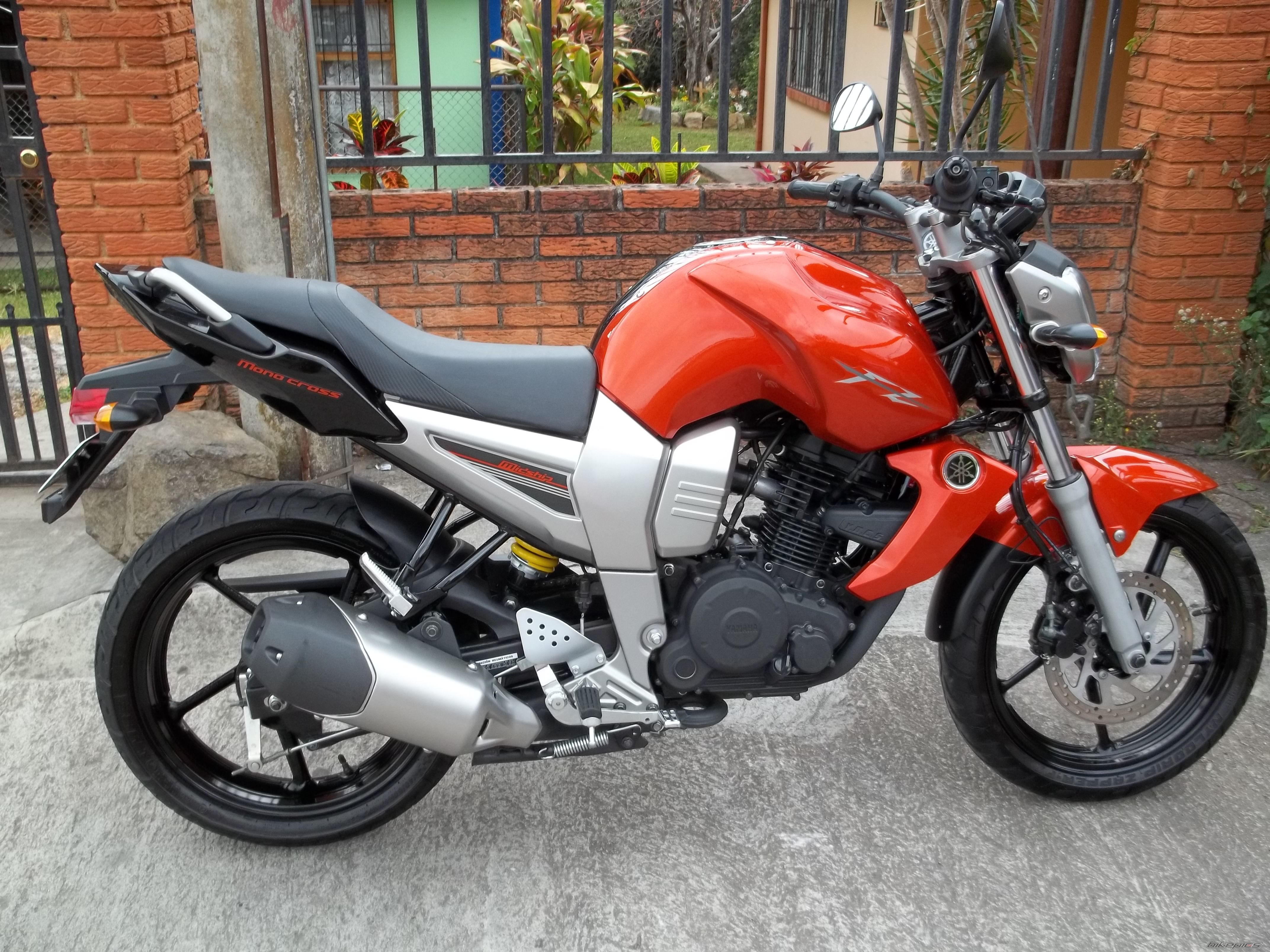 Photo 2368829