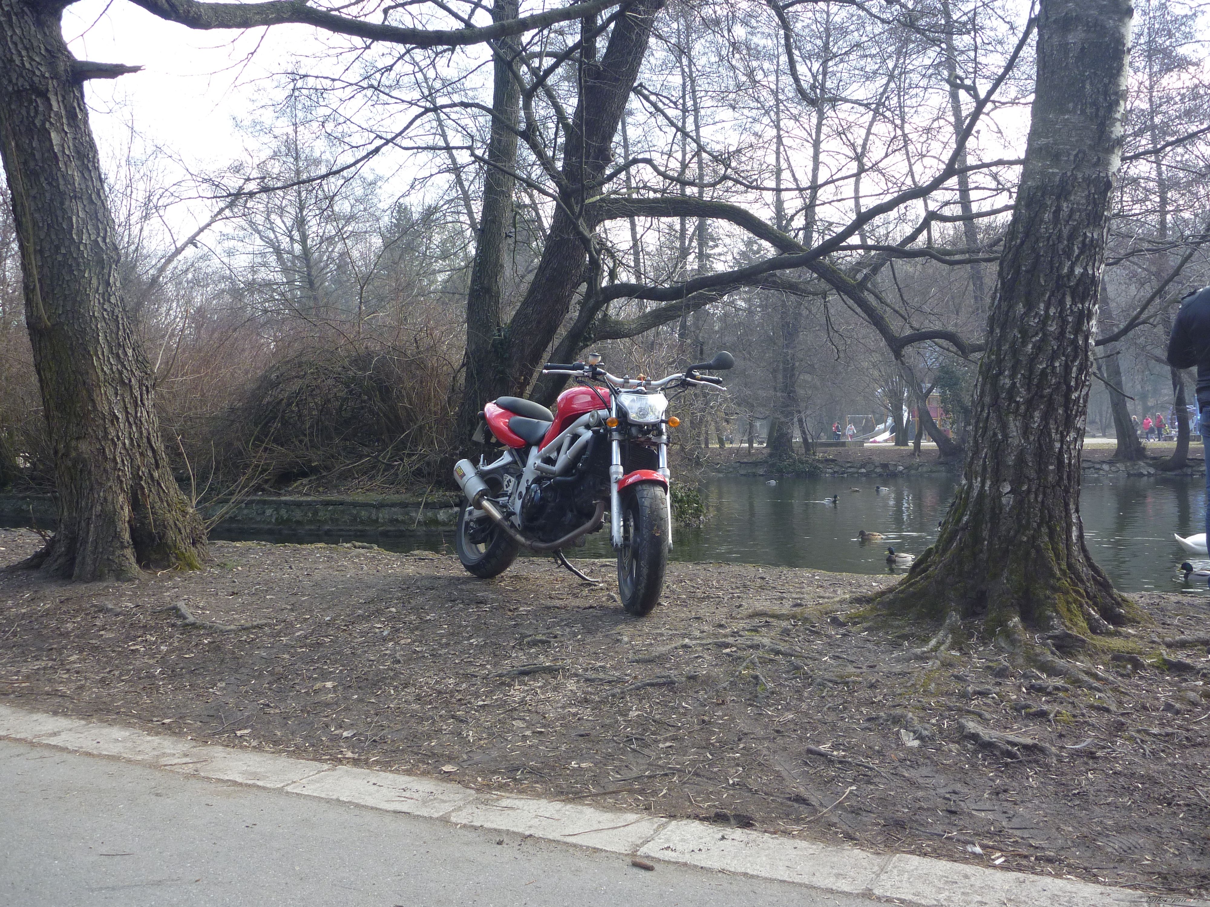 Photo 2368936