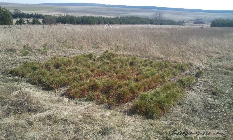Photo 2369021