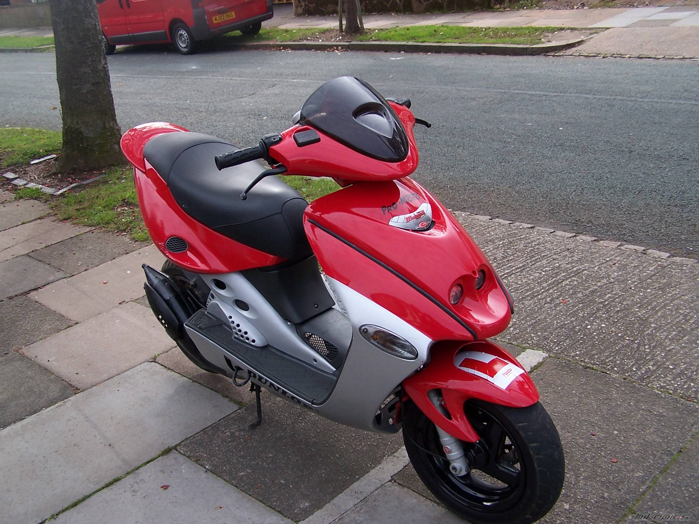 Photo 236907