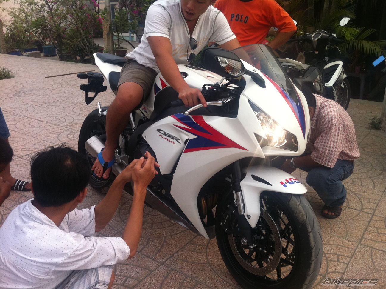 Photo 2369088