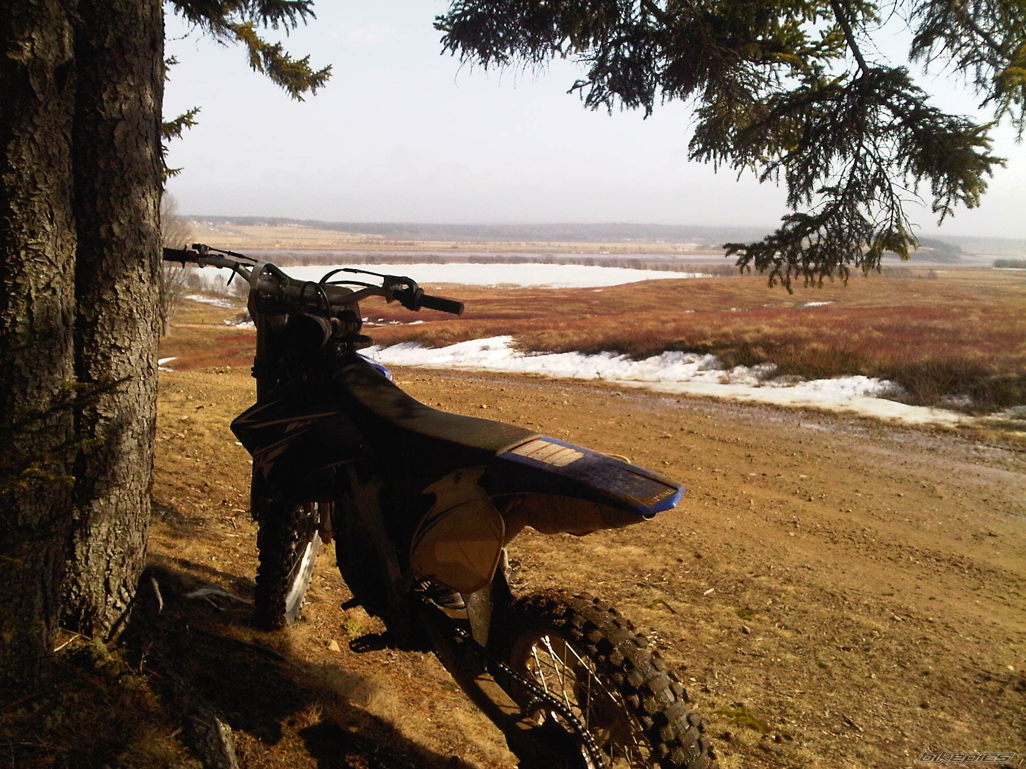 Photo 2369174