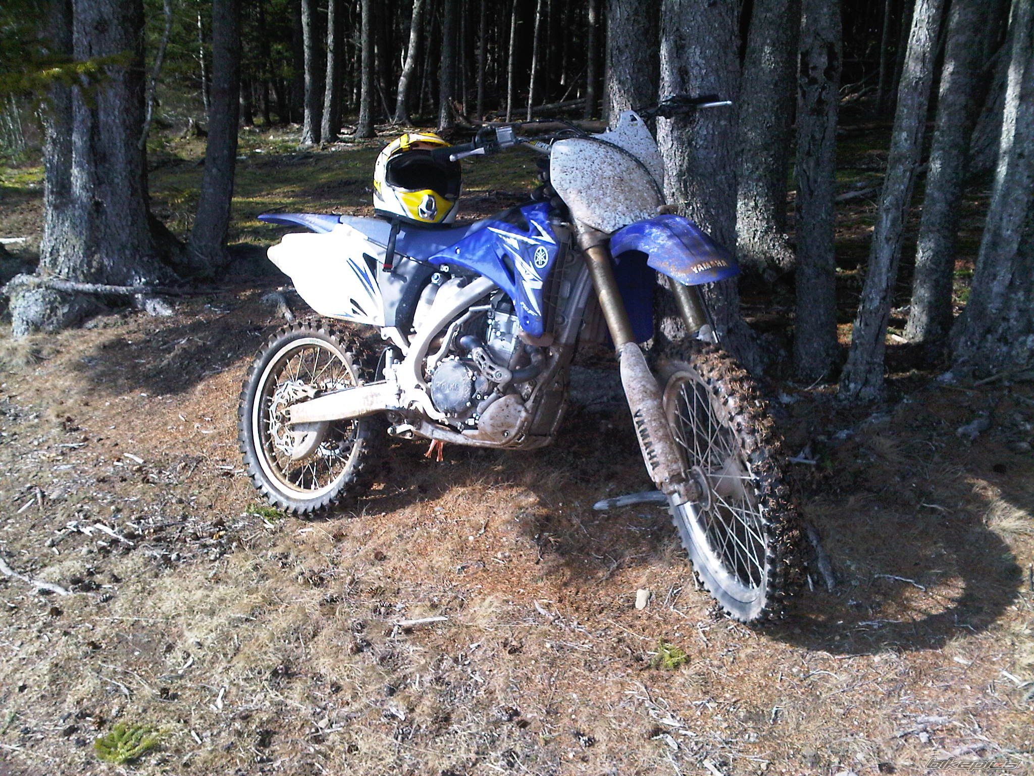 Photo 2369178