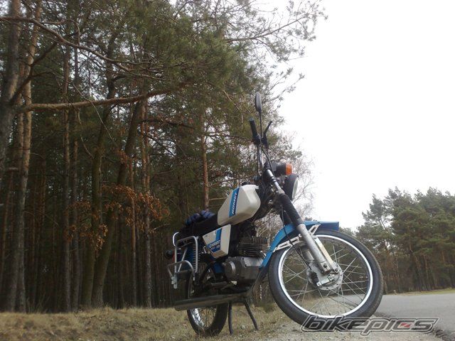 Photo 2369194