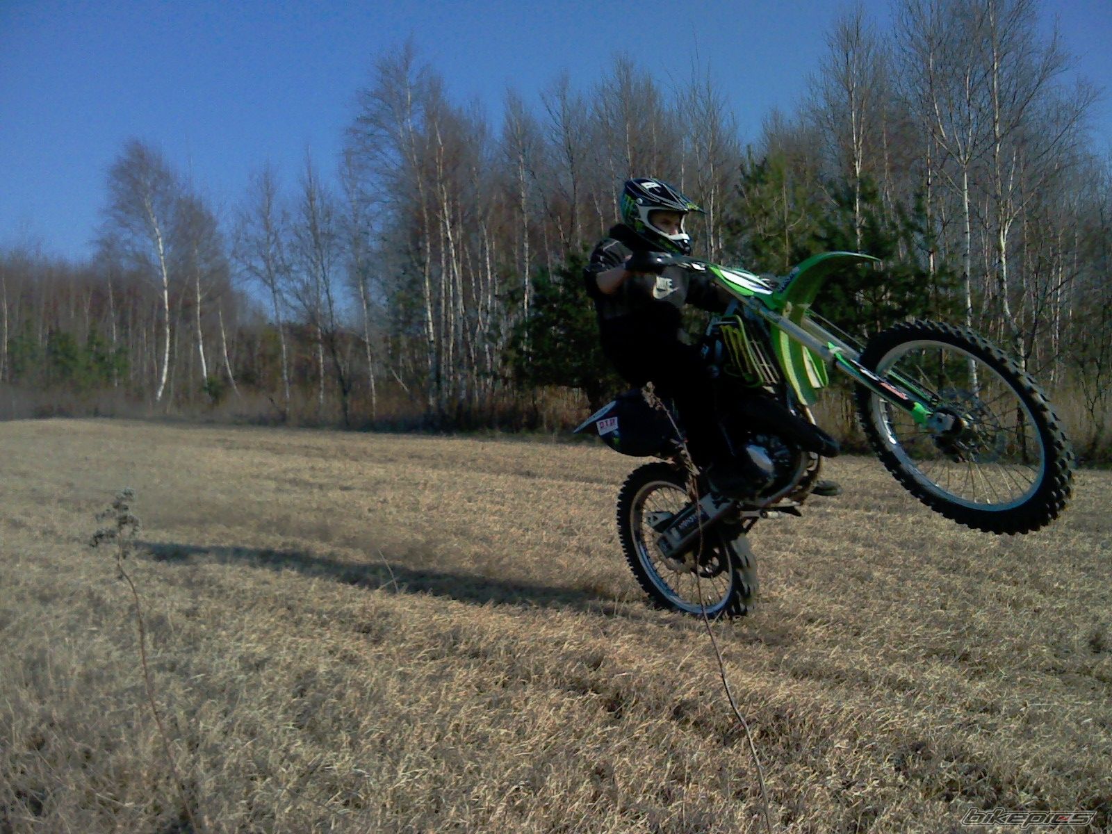 Photo 2369242