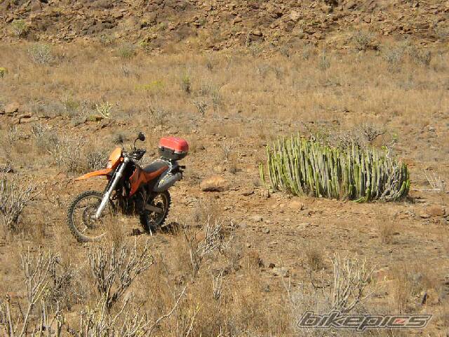 Bike Photo 236927