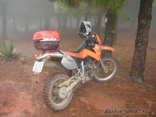 Bike Photo 236929