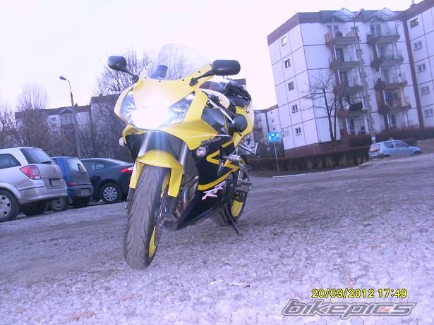 Photo 2369387