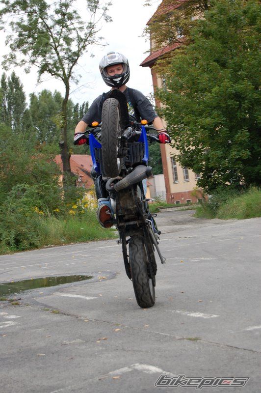 Photo 2369393