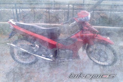 Photo 2369428