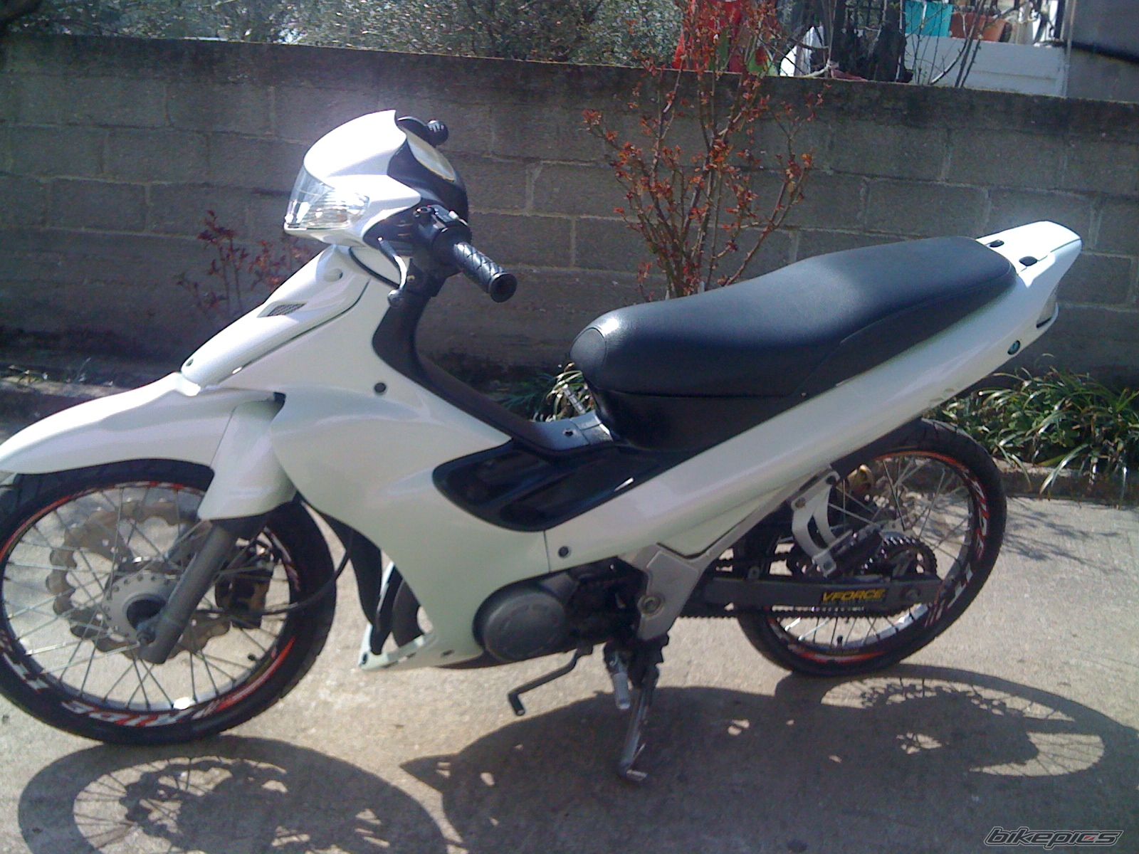 Photo 2369433
