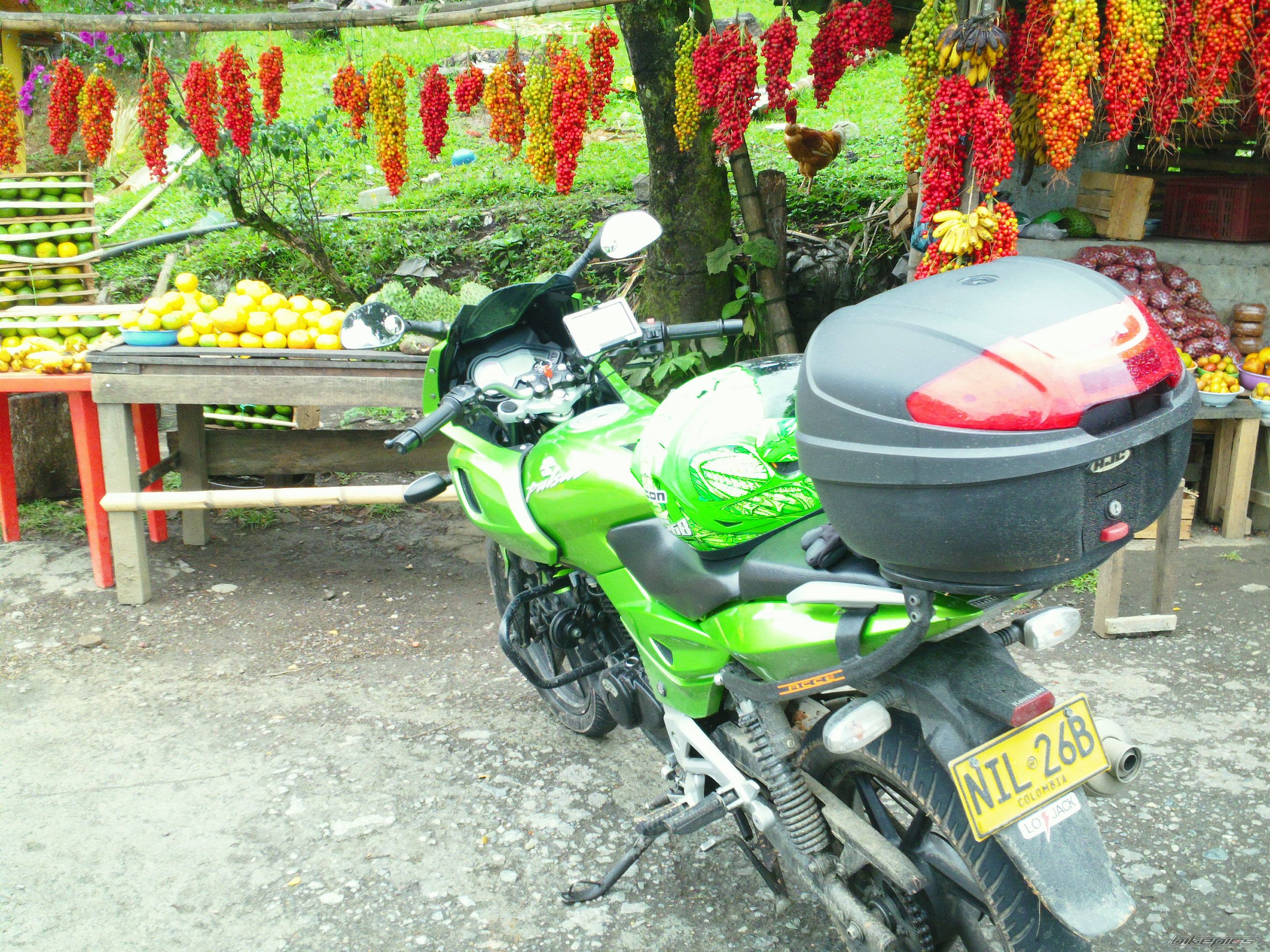 Photo 2369511