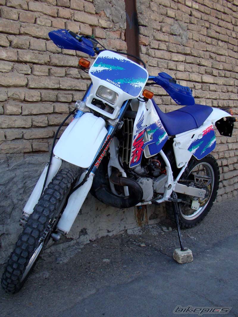 Photo 2369623