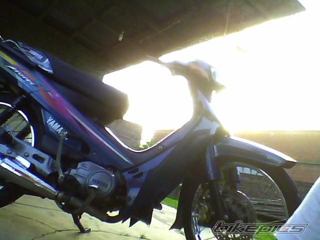 Photo 2369628