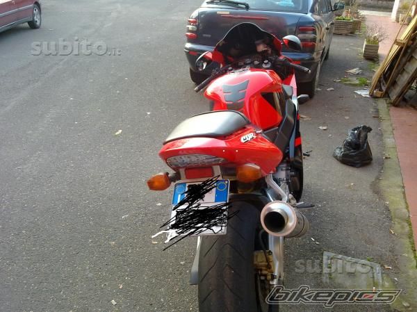 Photo 2369665