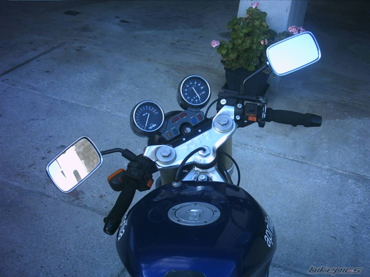 Photo 236977