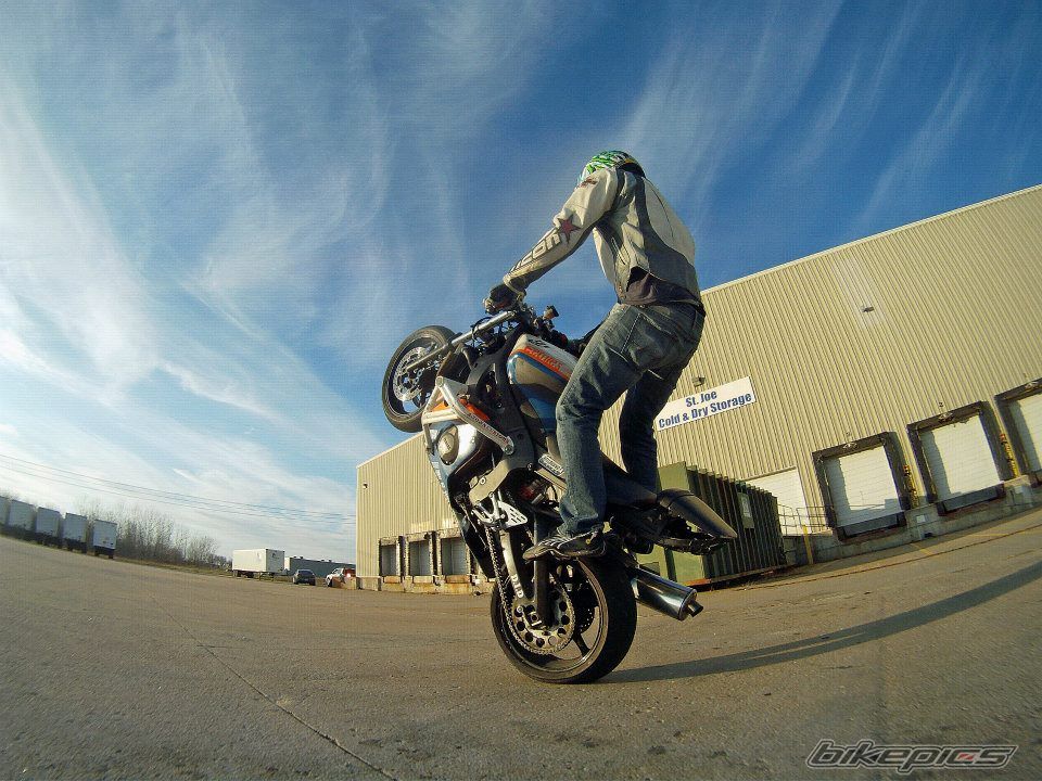 Photo 2369794