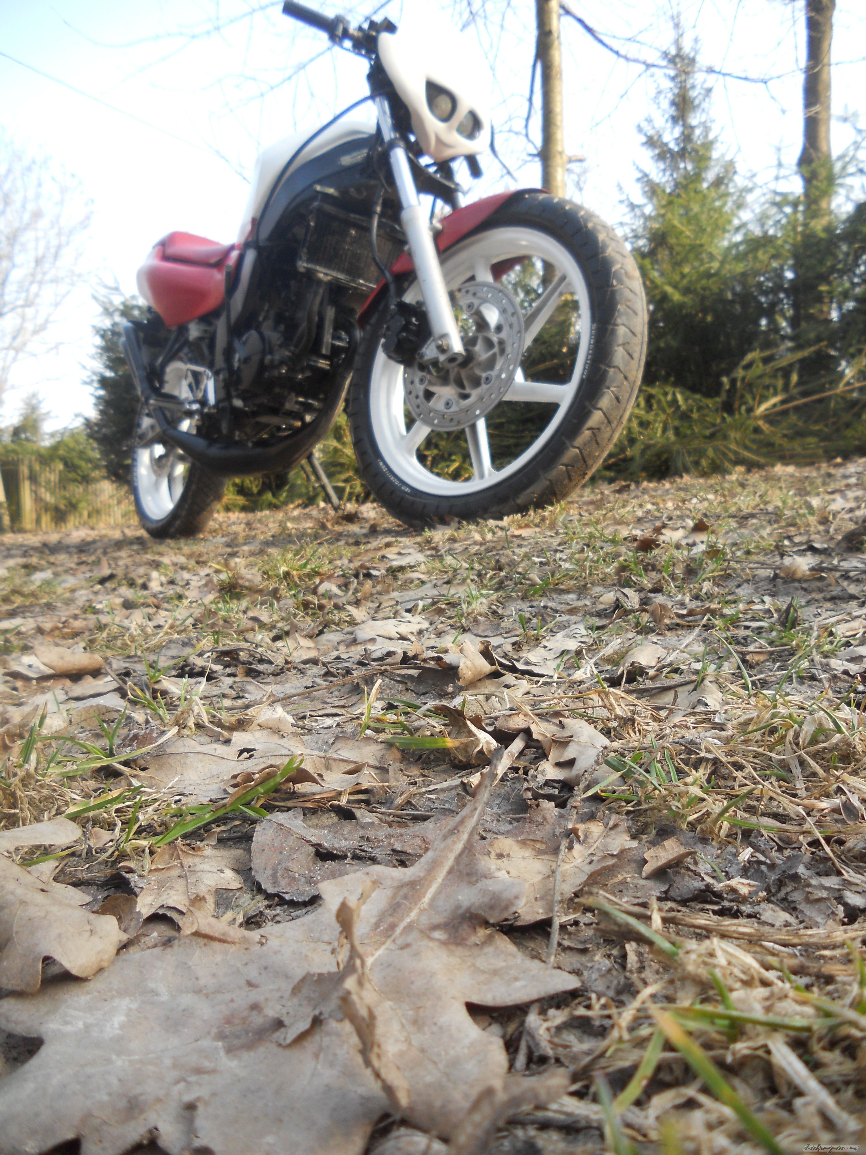 Photo 2369858
