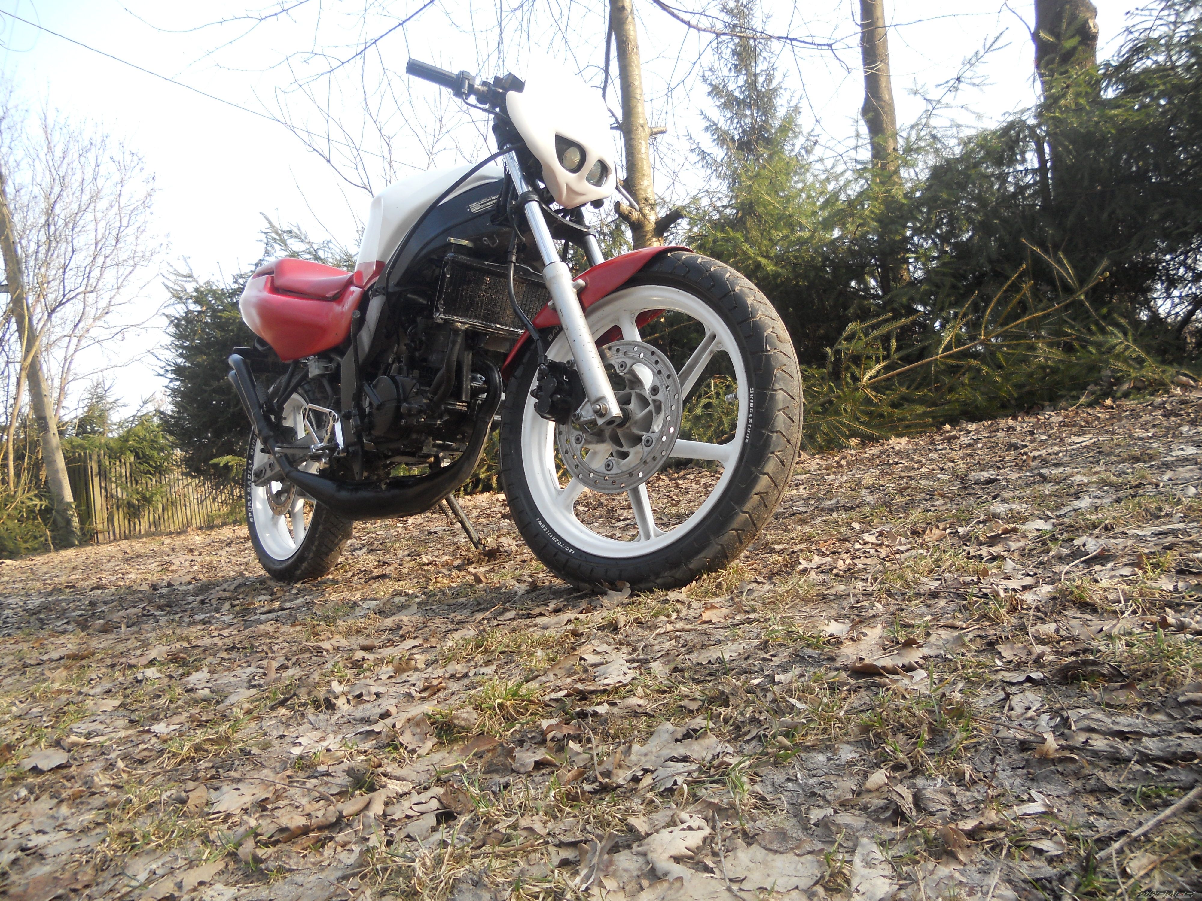 Photo 2369861