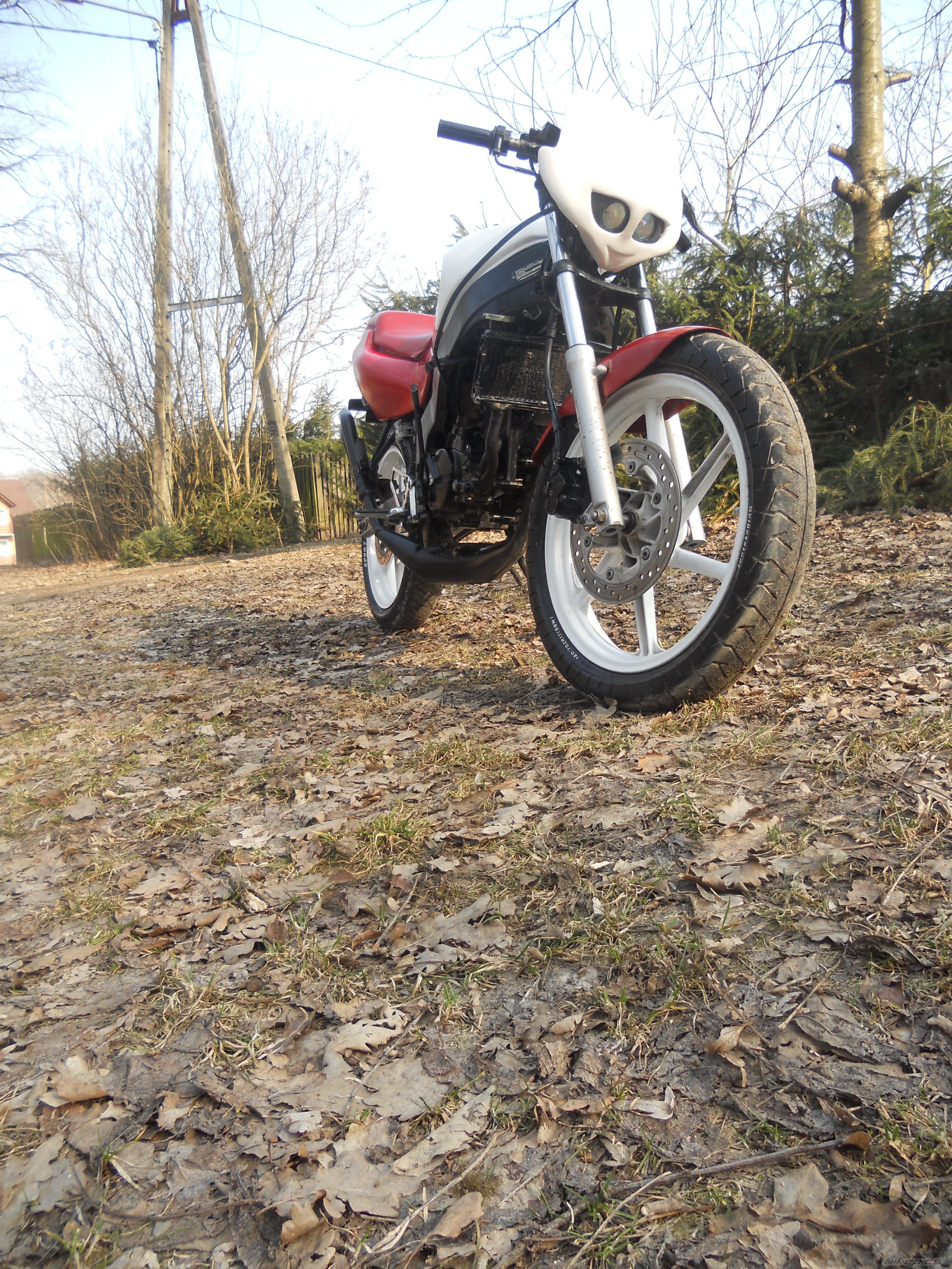 Photo 2369862