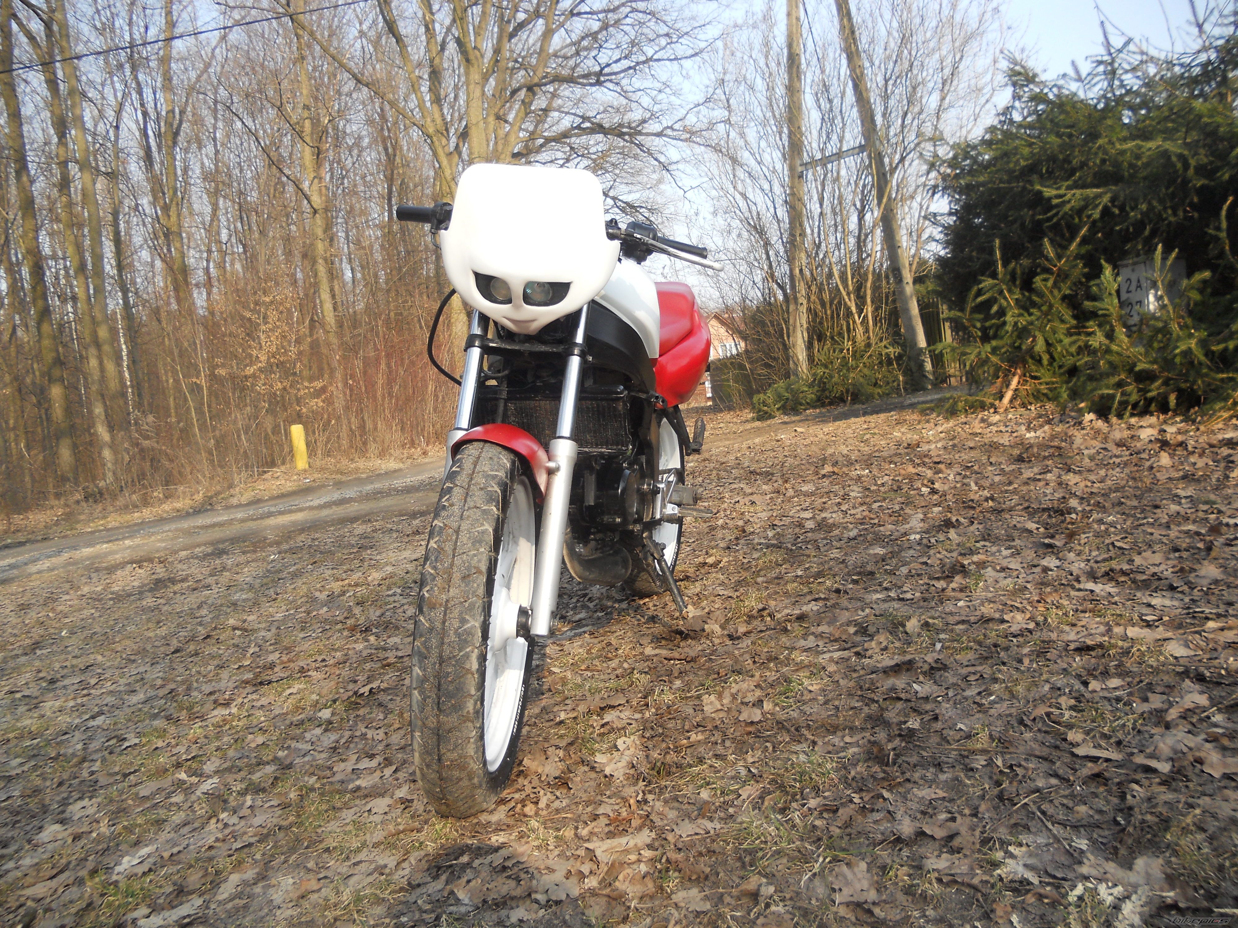 Photo 2369863