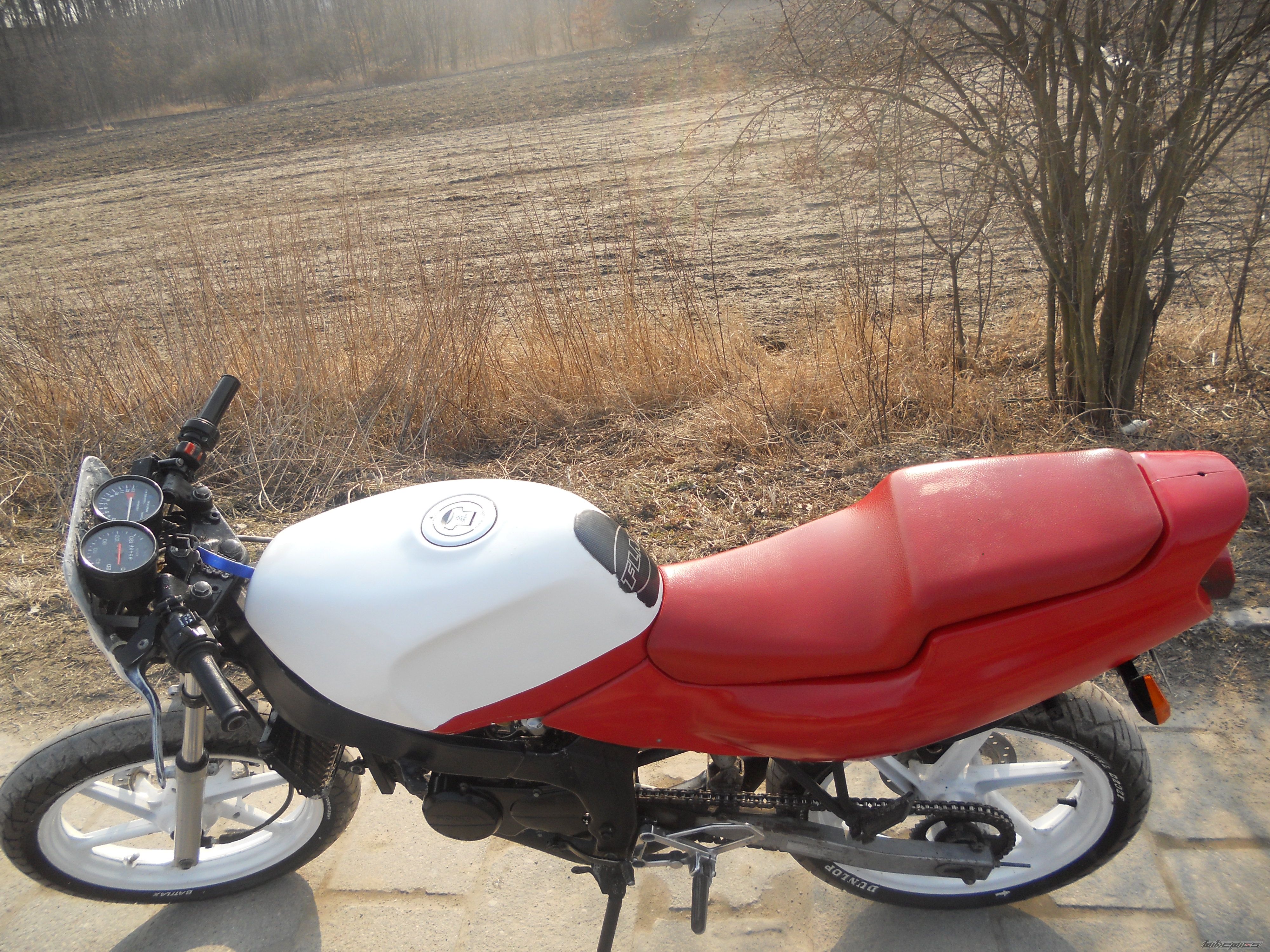 Photo 2369913