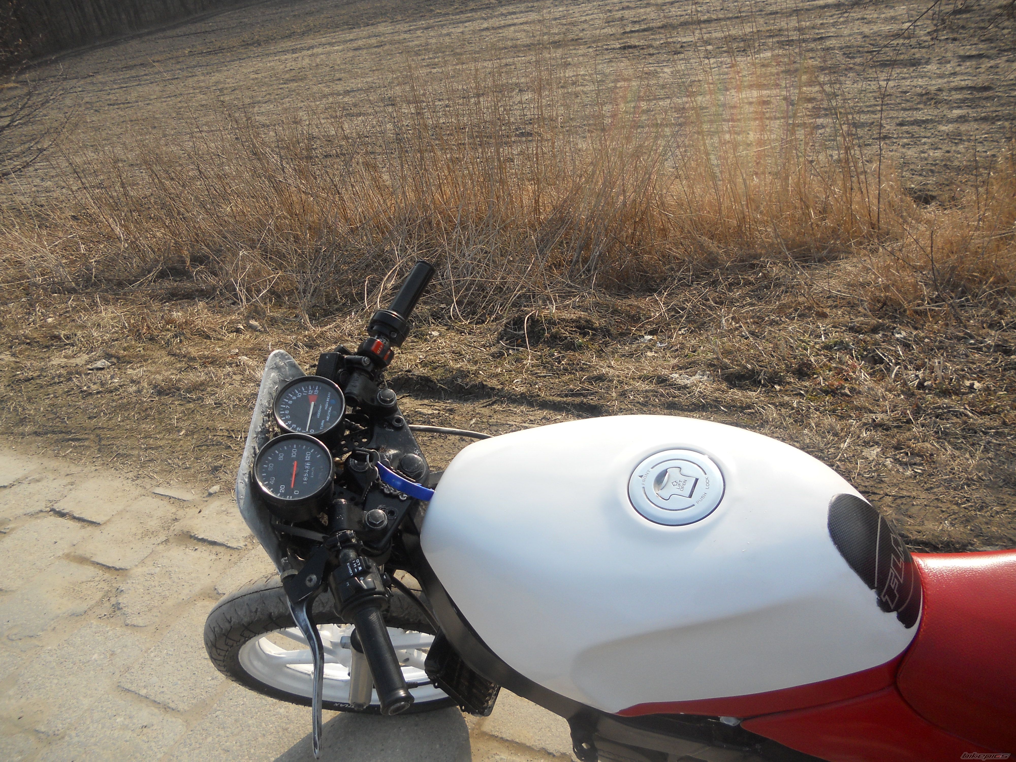 Photo 2369918