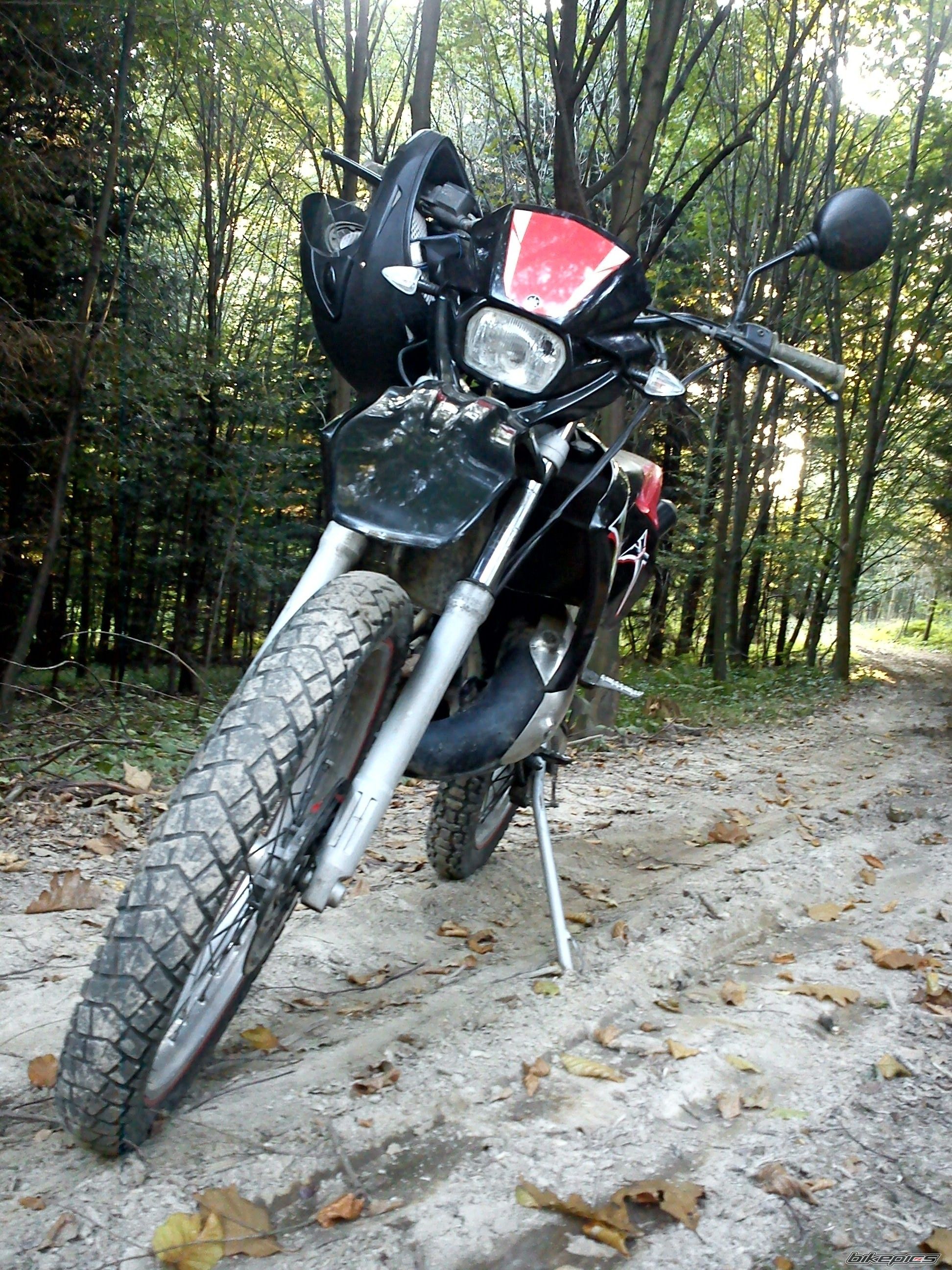 Photo 2369945