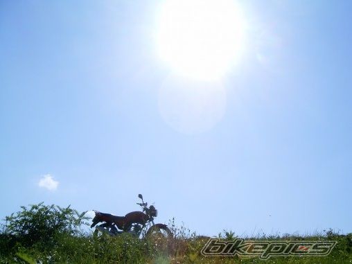 Photo 2369968