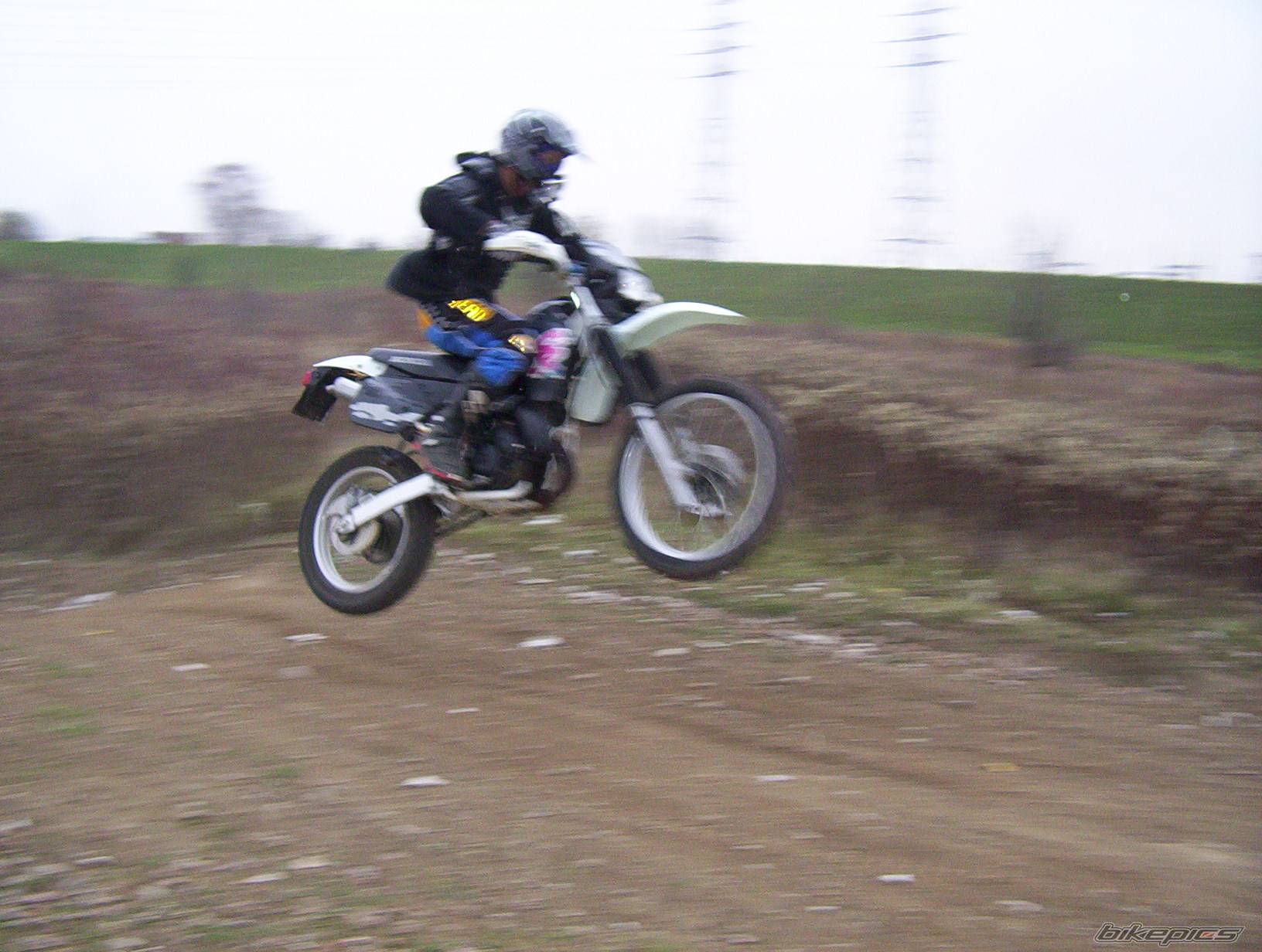 Photo 237010