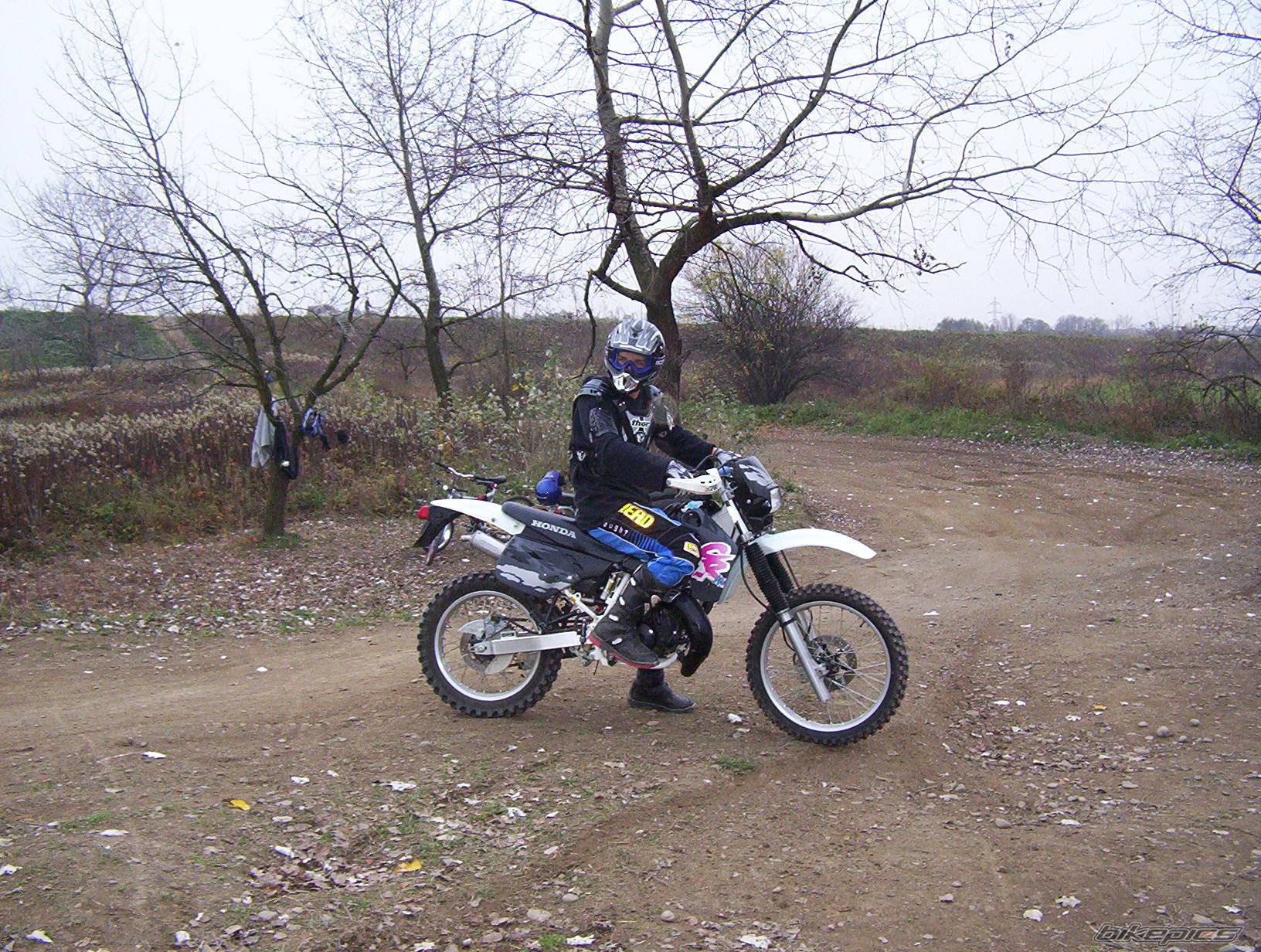 Photo 237013
