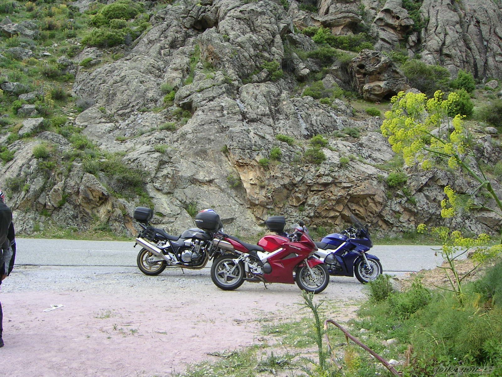 Photo 2370253