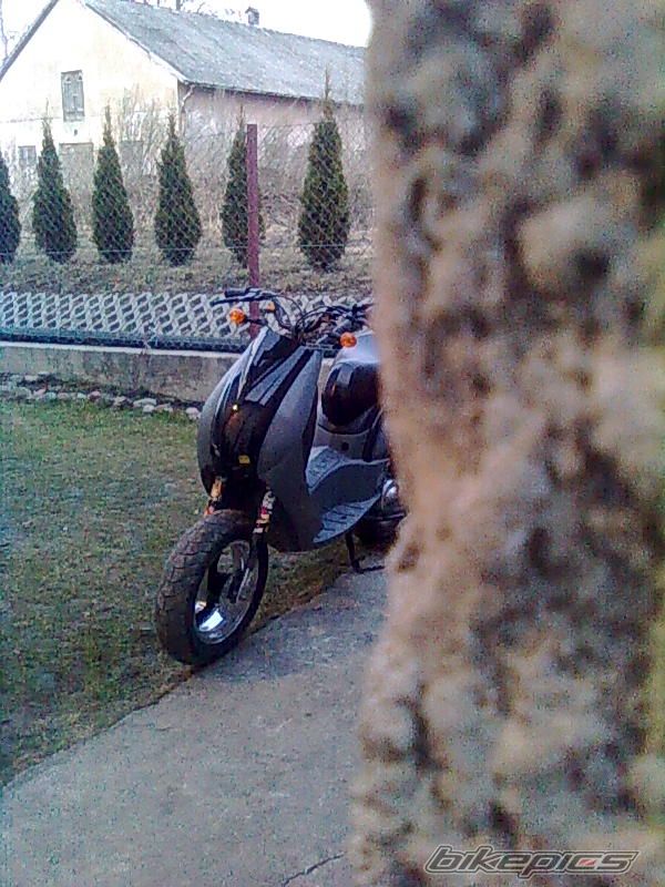 Photo 2370315