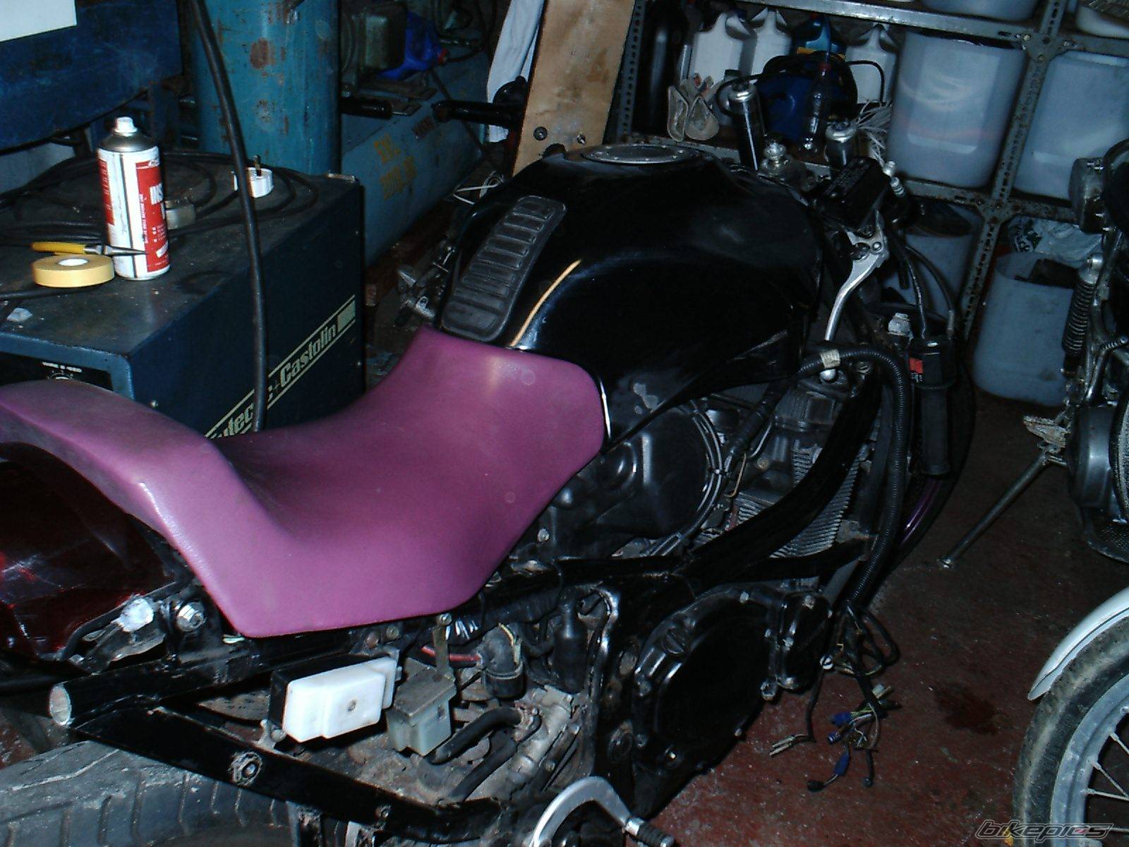 Photo 237061