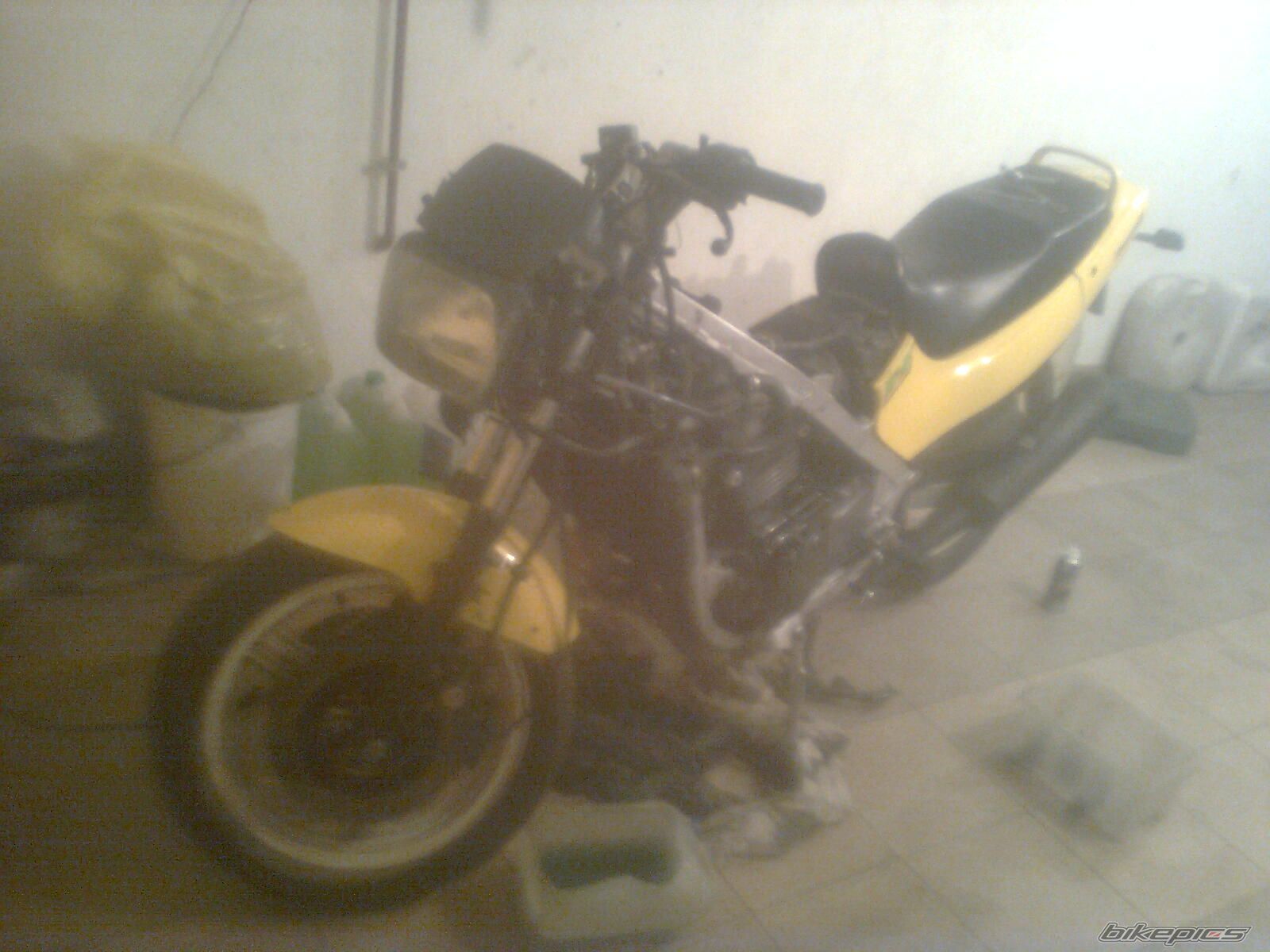 Photo 2370788